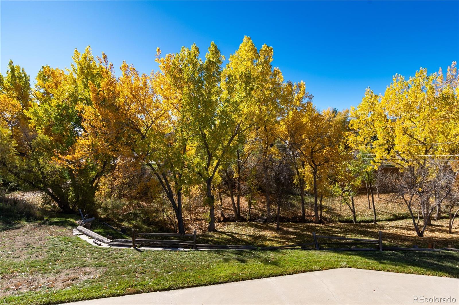 7809 S Dudley Street