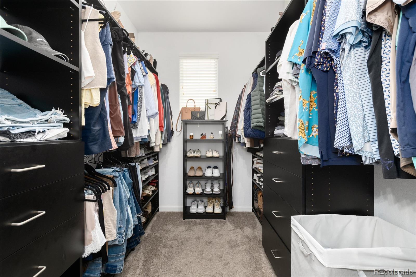 11886 Chipper Lane