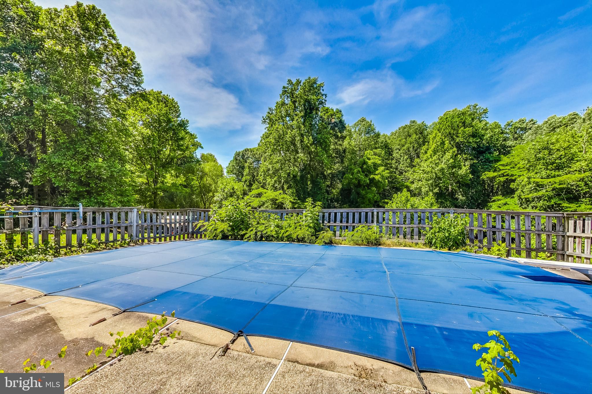 55 Buckler Rd