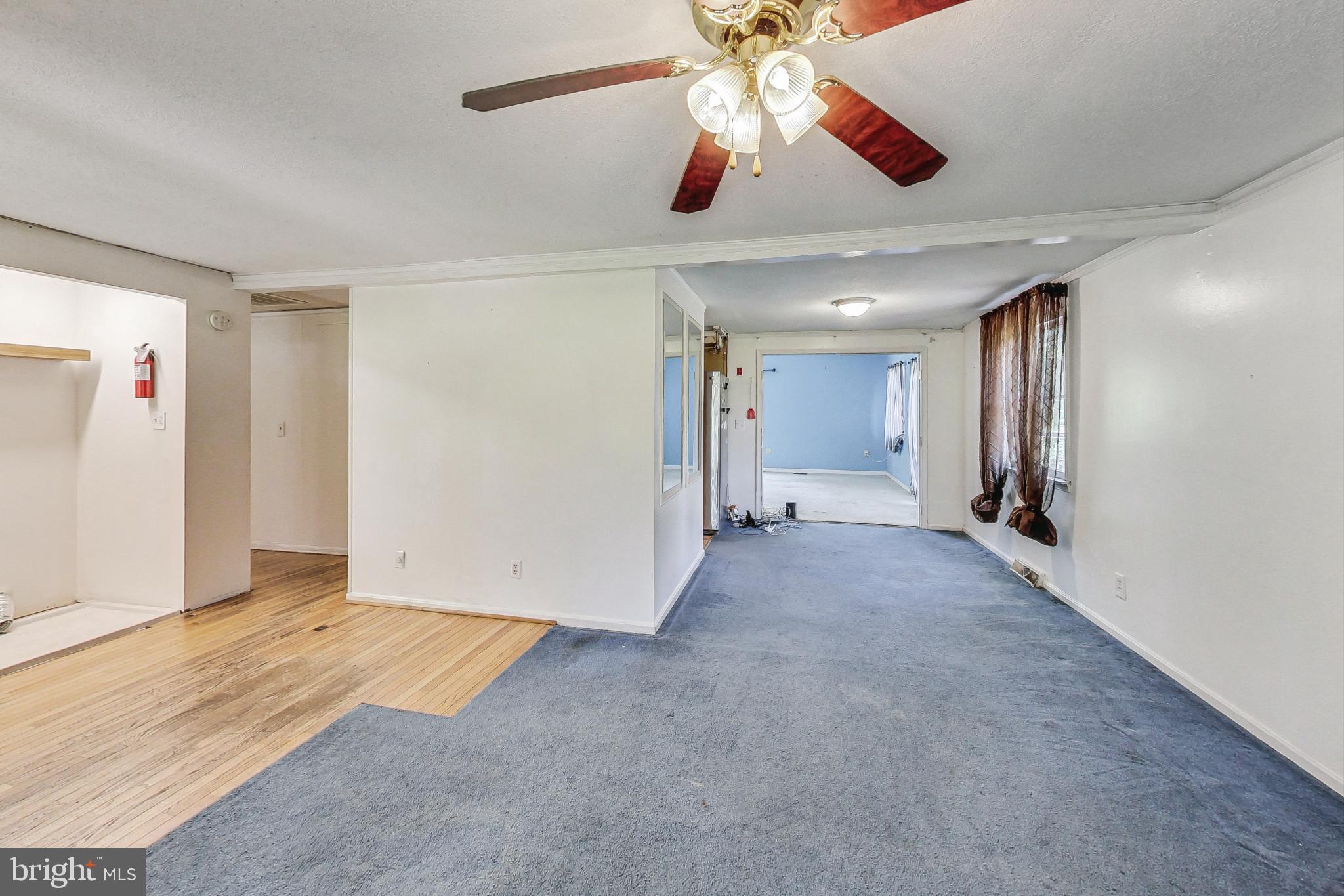 55 Buckler Rd