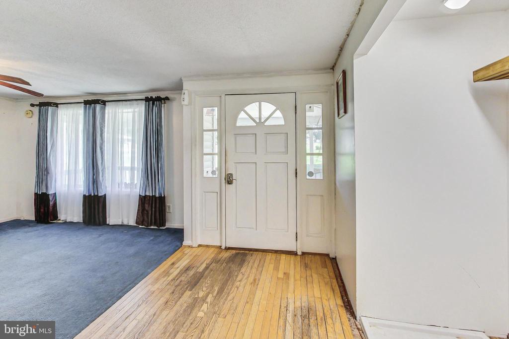 55 Buckler Rd