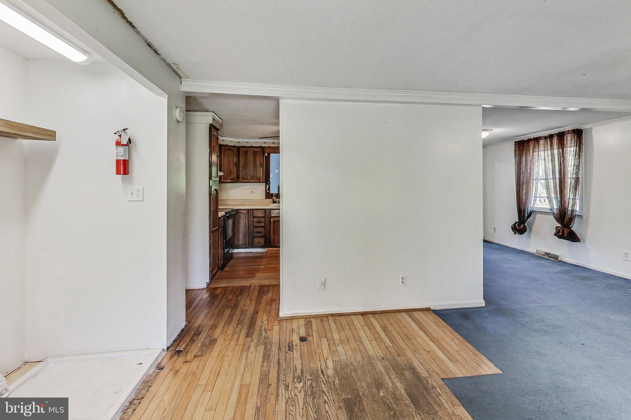 55 Buckler Rd
