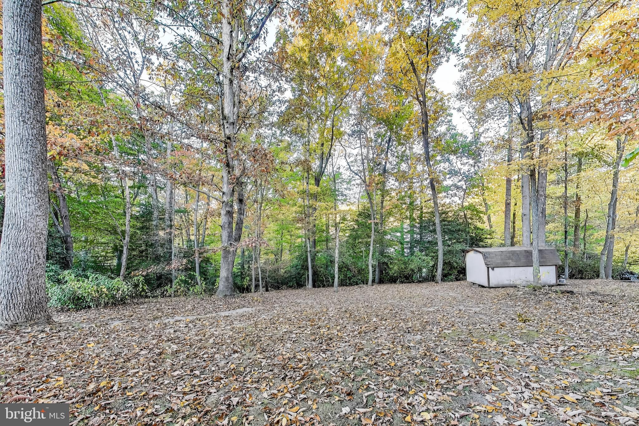 541 Platte Rd