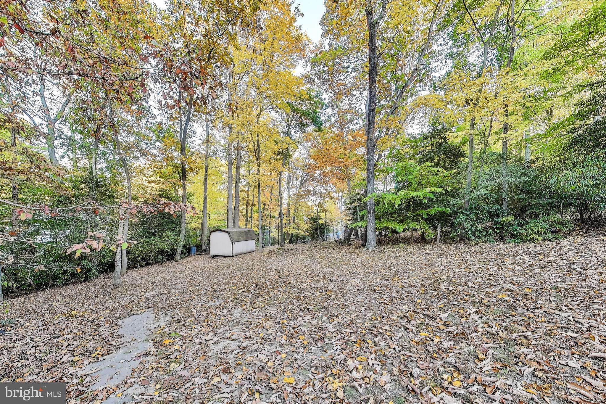 541 Platte Rd