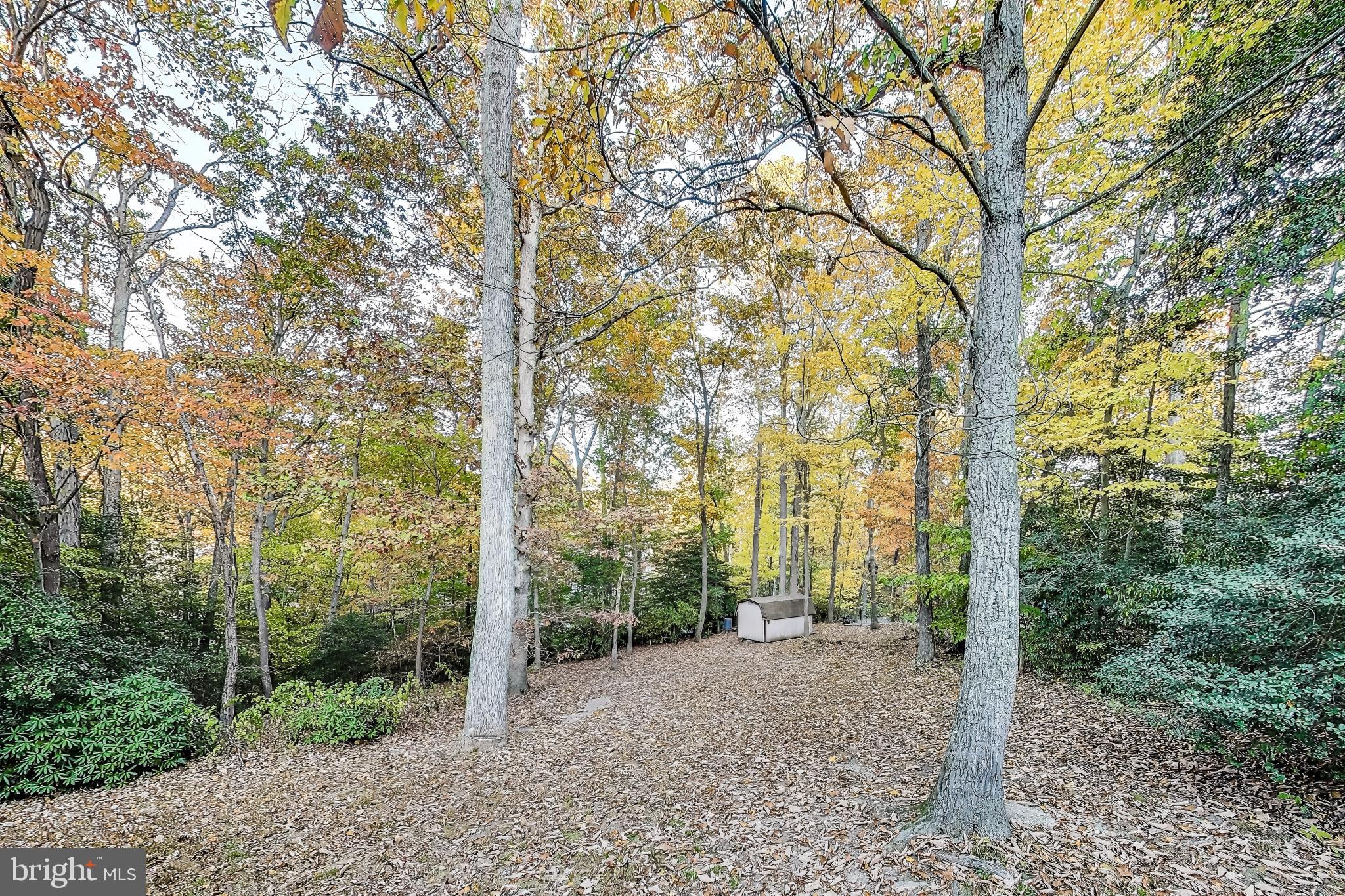 541 Platte Rd