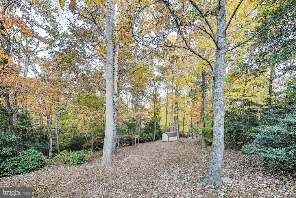 541 Platte Rd