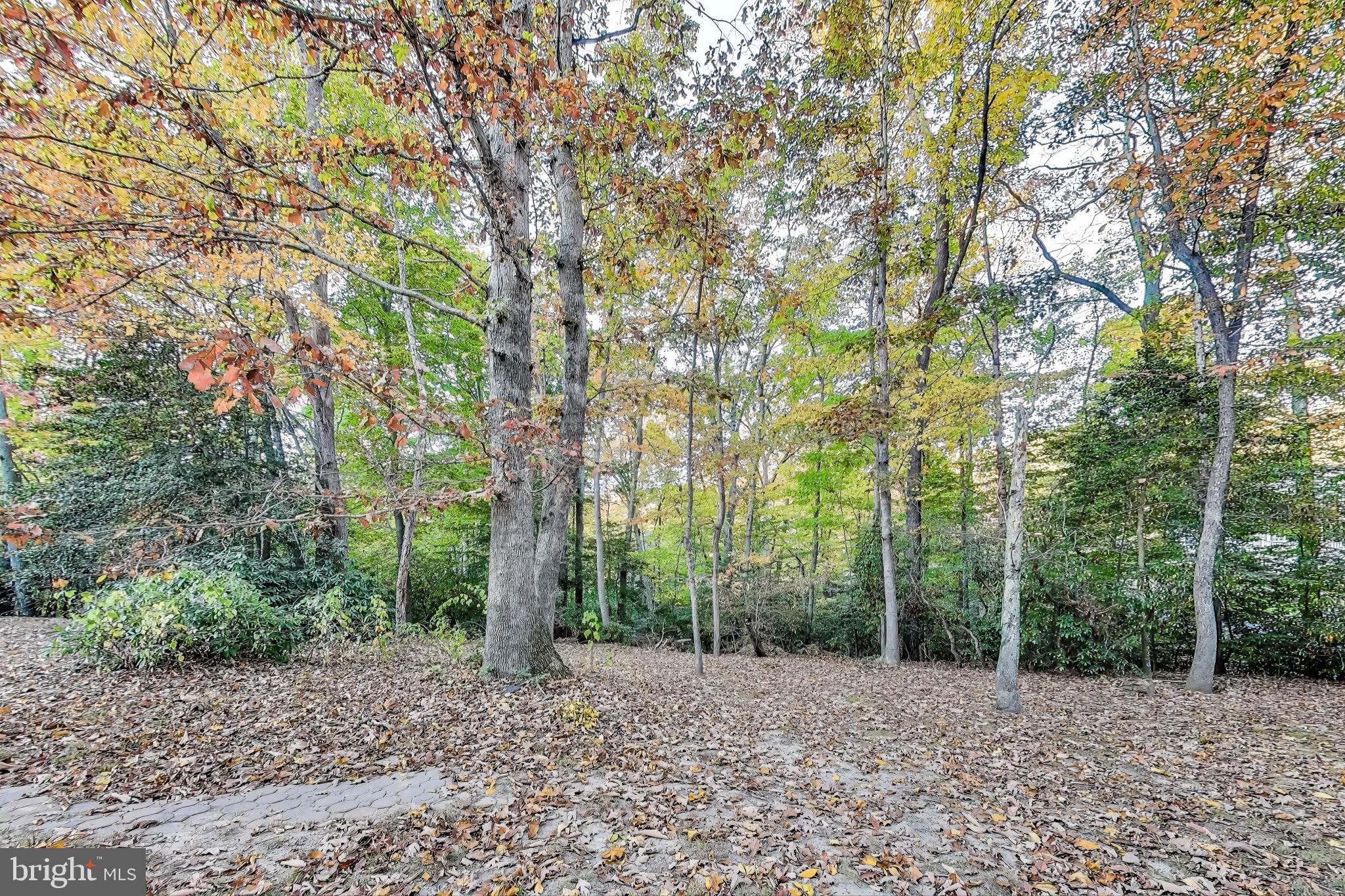541 Platte Rd
