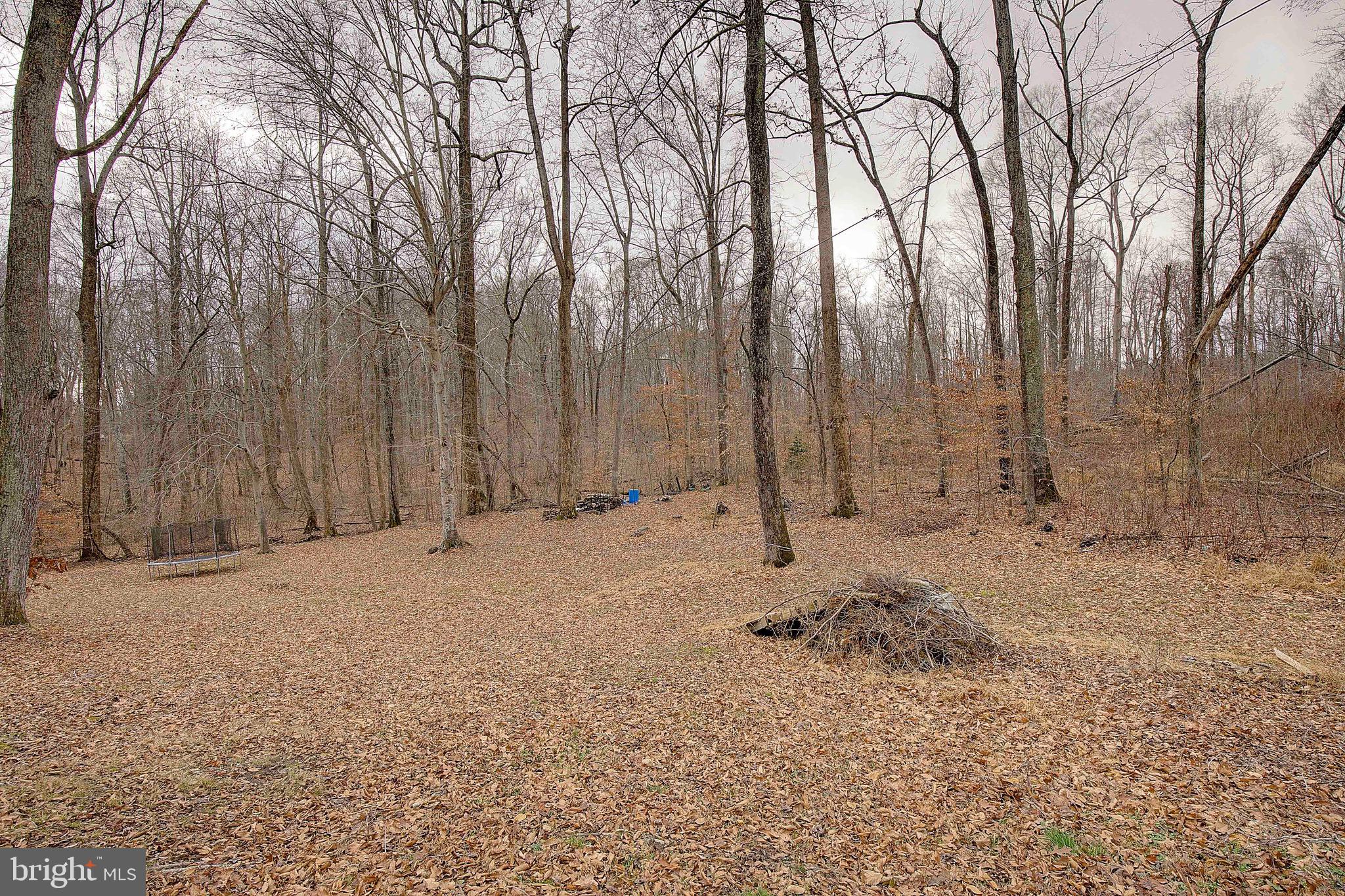 11130 DUMBARTON DRIVE