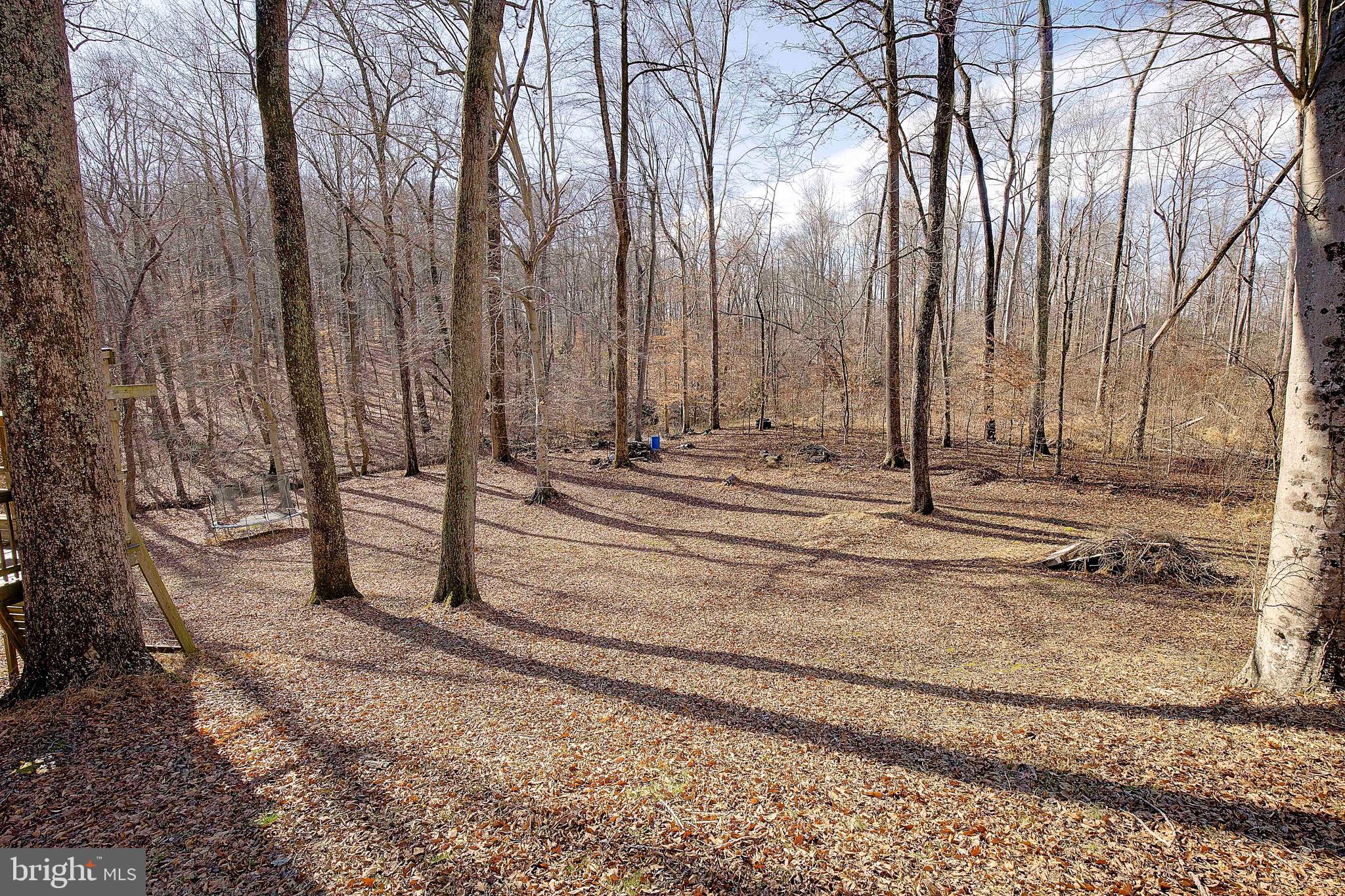 11130 DUMBARTON DRIVE