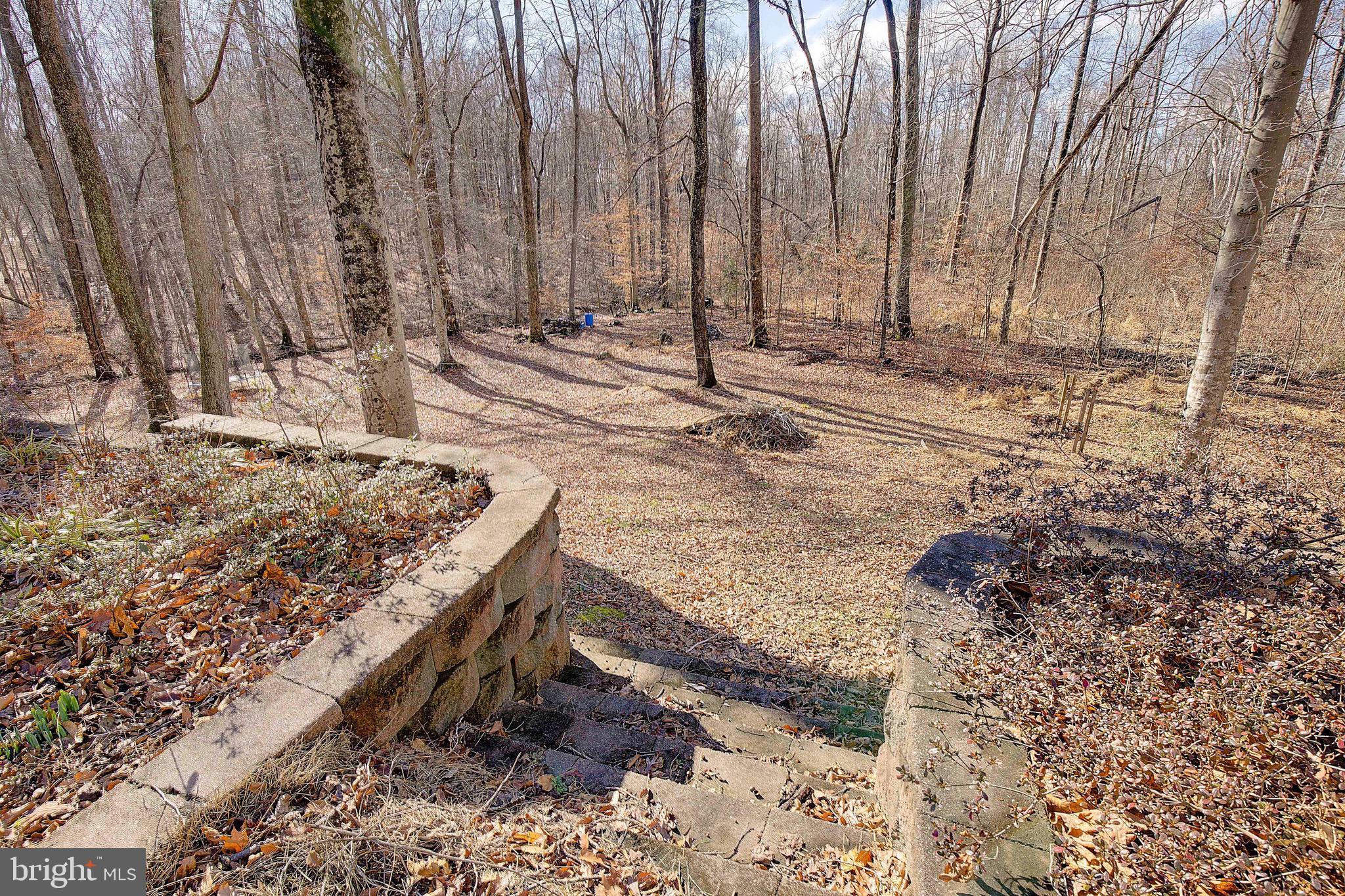 11130 DUMBARTON DRIVE