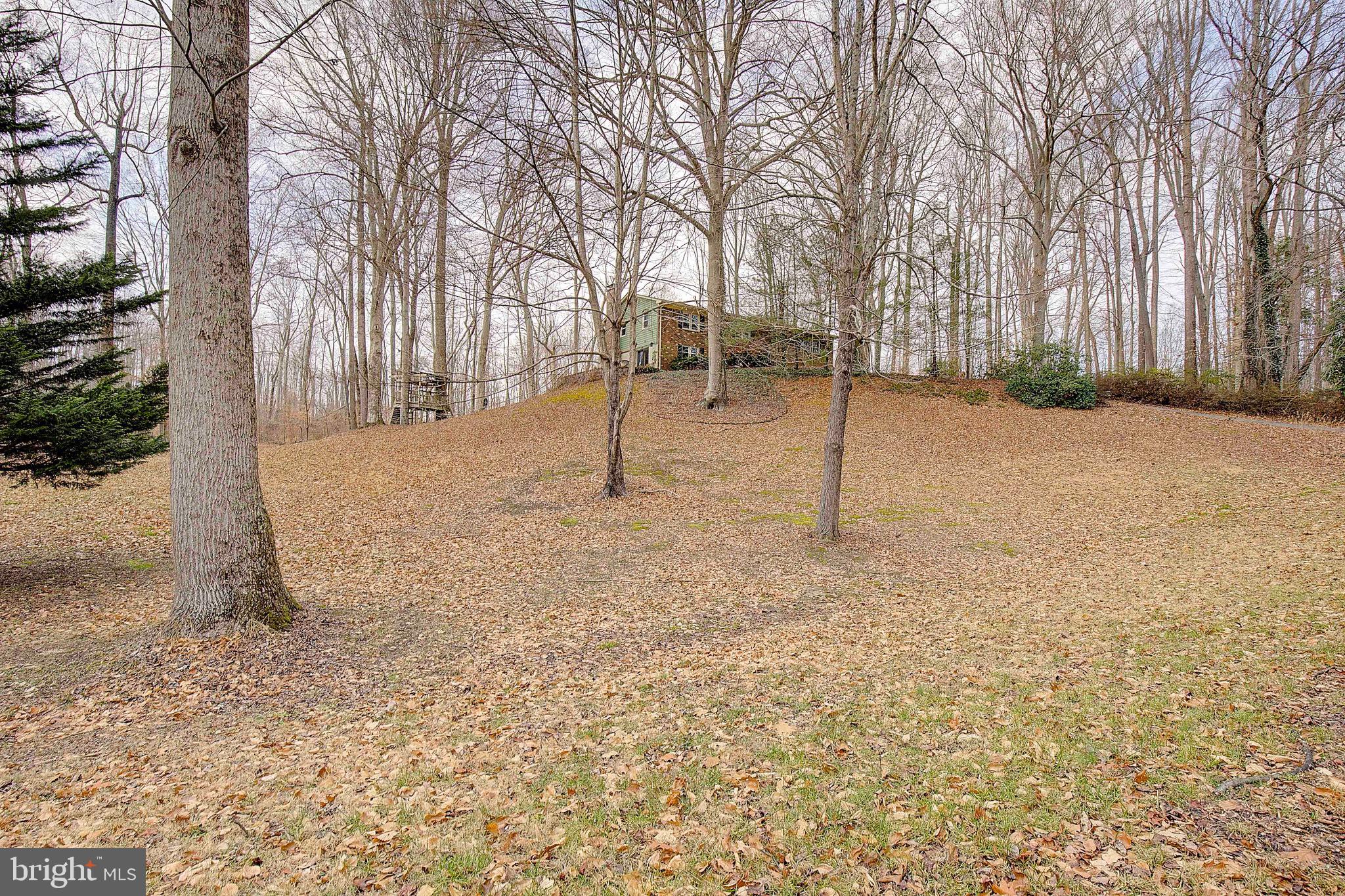 11130 DUMBARTON DRIVE