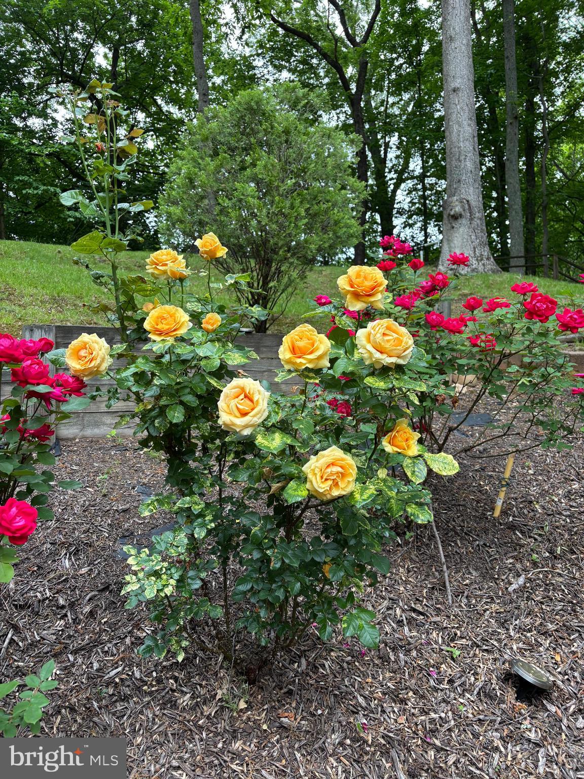 6309 BROOKEVIEW COURT