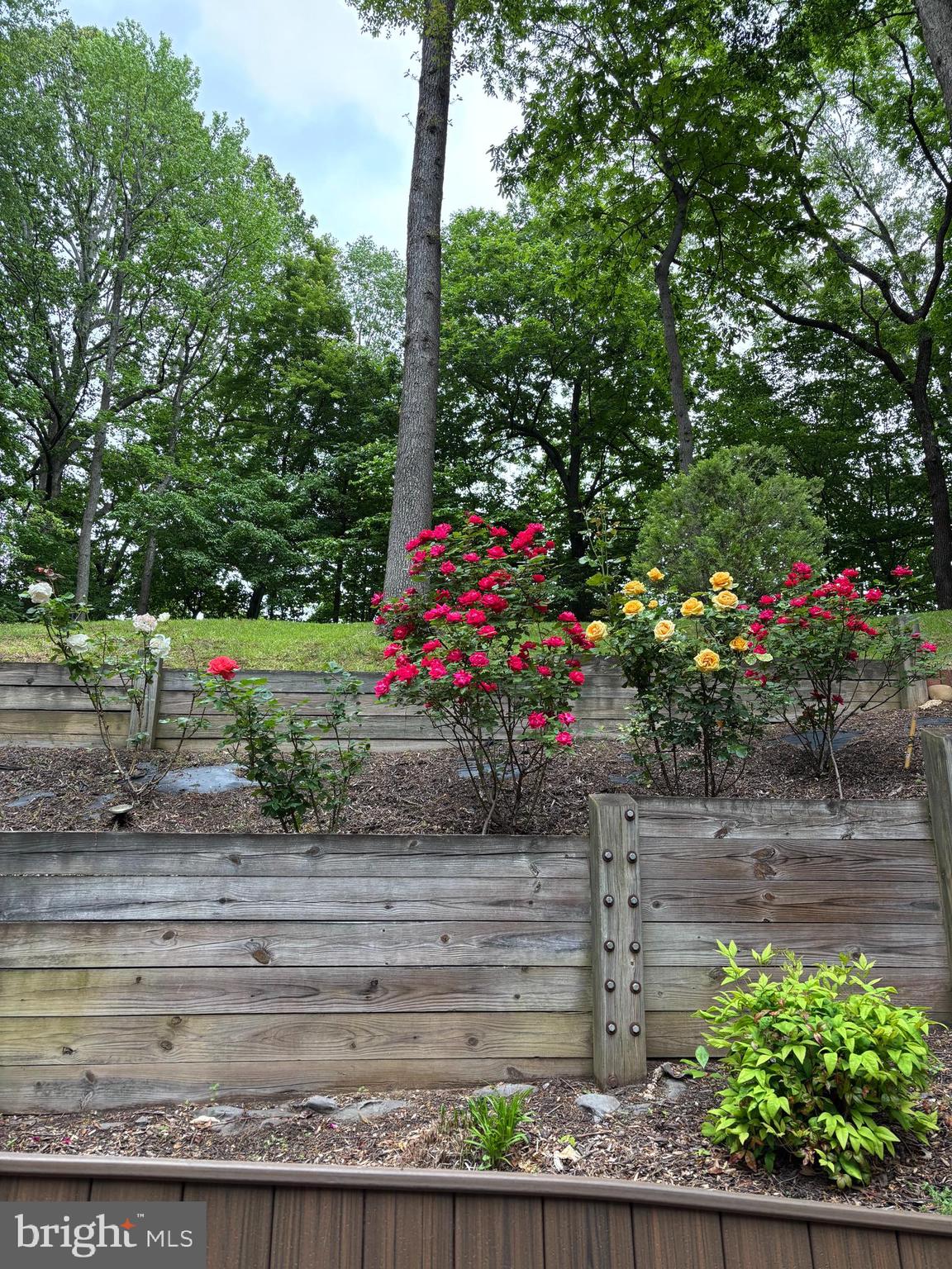 6309 BROOKEVIEW COURT