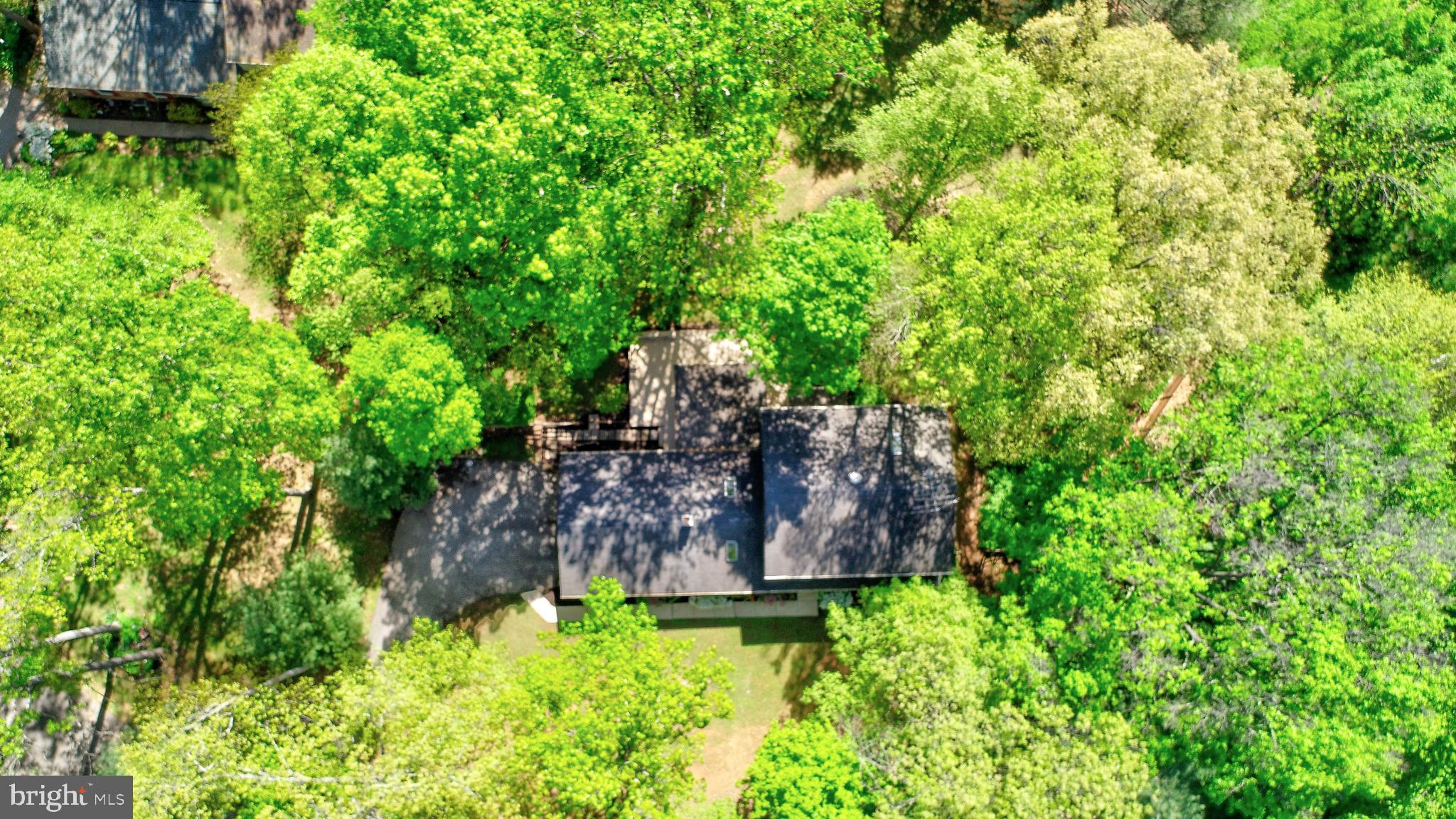 2219 FIREWOOD DRIVE