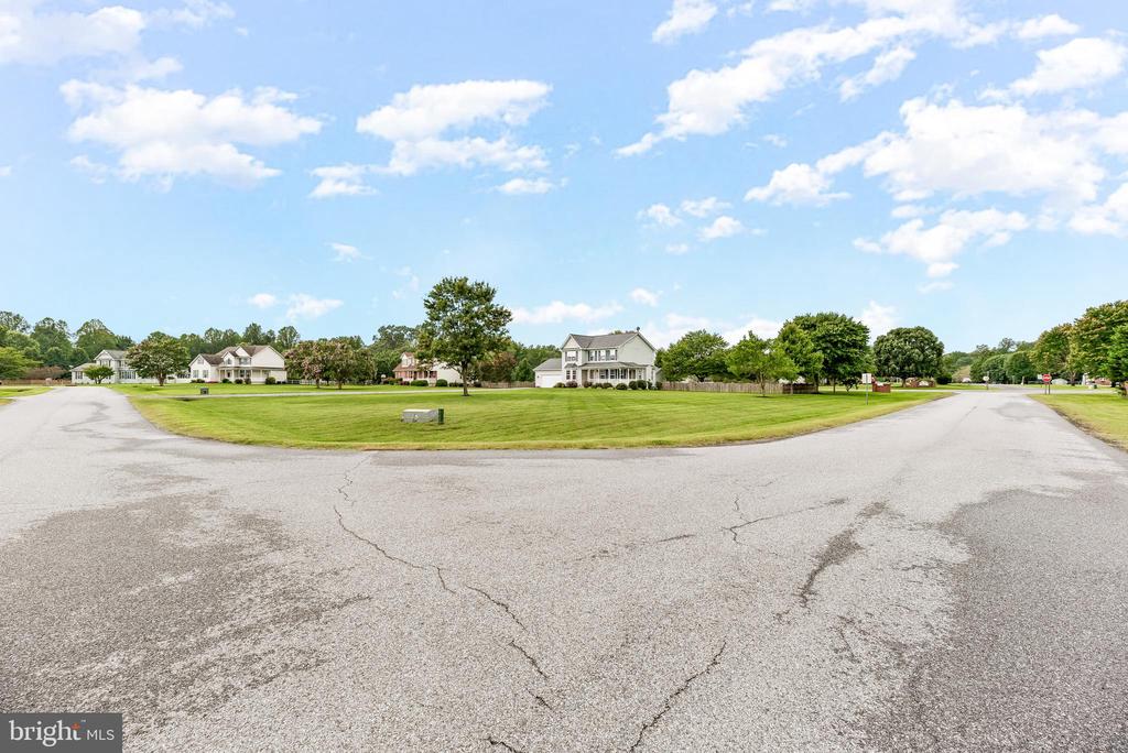 26251 TRUE GRIT COURT