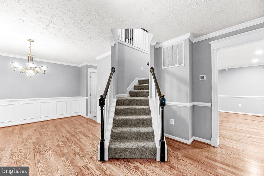 26251 TRUE GRIT COURT