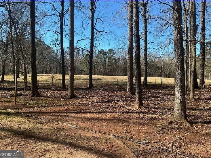 153 Hoot Owl Lane