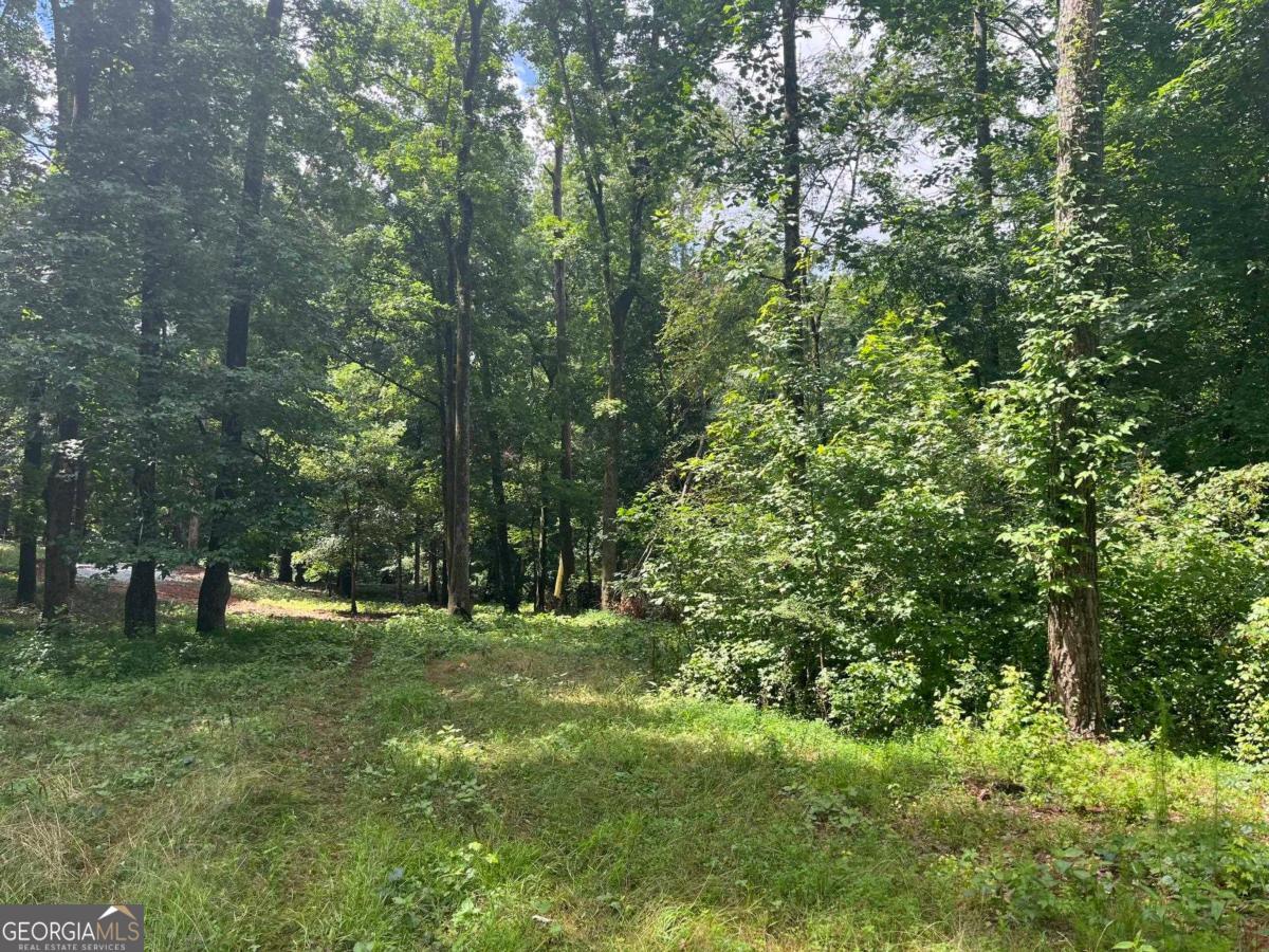 20 +/- AC Crooked Creek Road