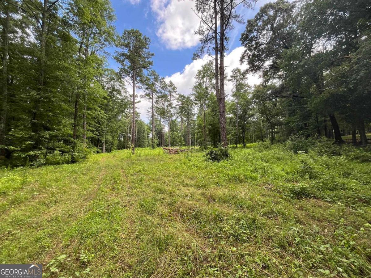 20 +/- AC Crooked Creek Road