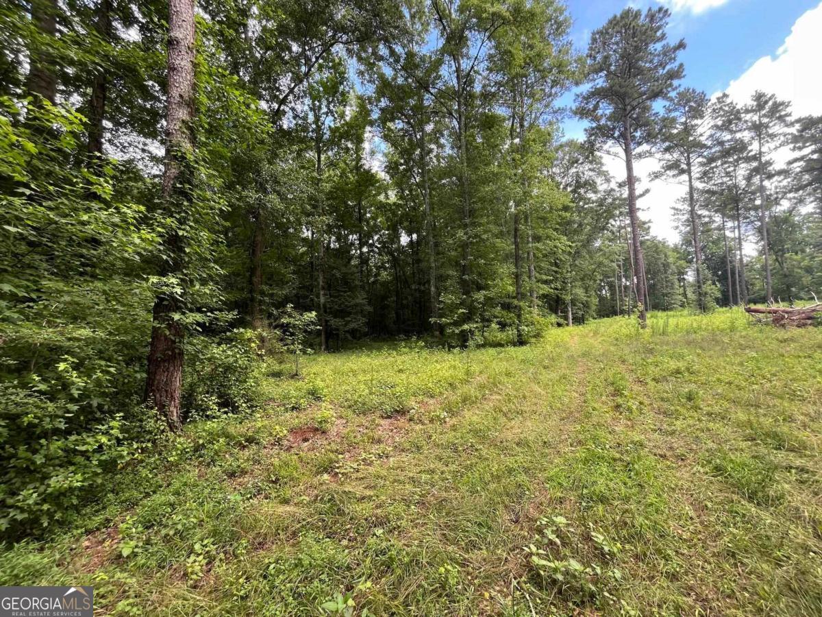 20 +/- AC Crooked Creek Road
