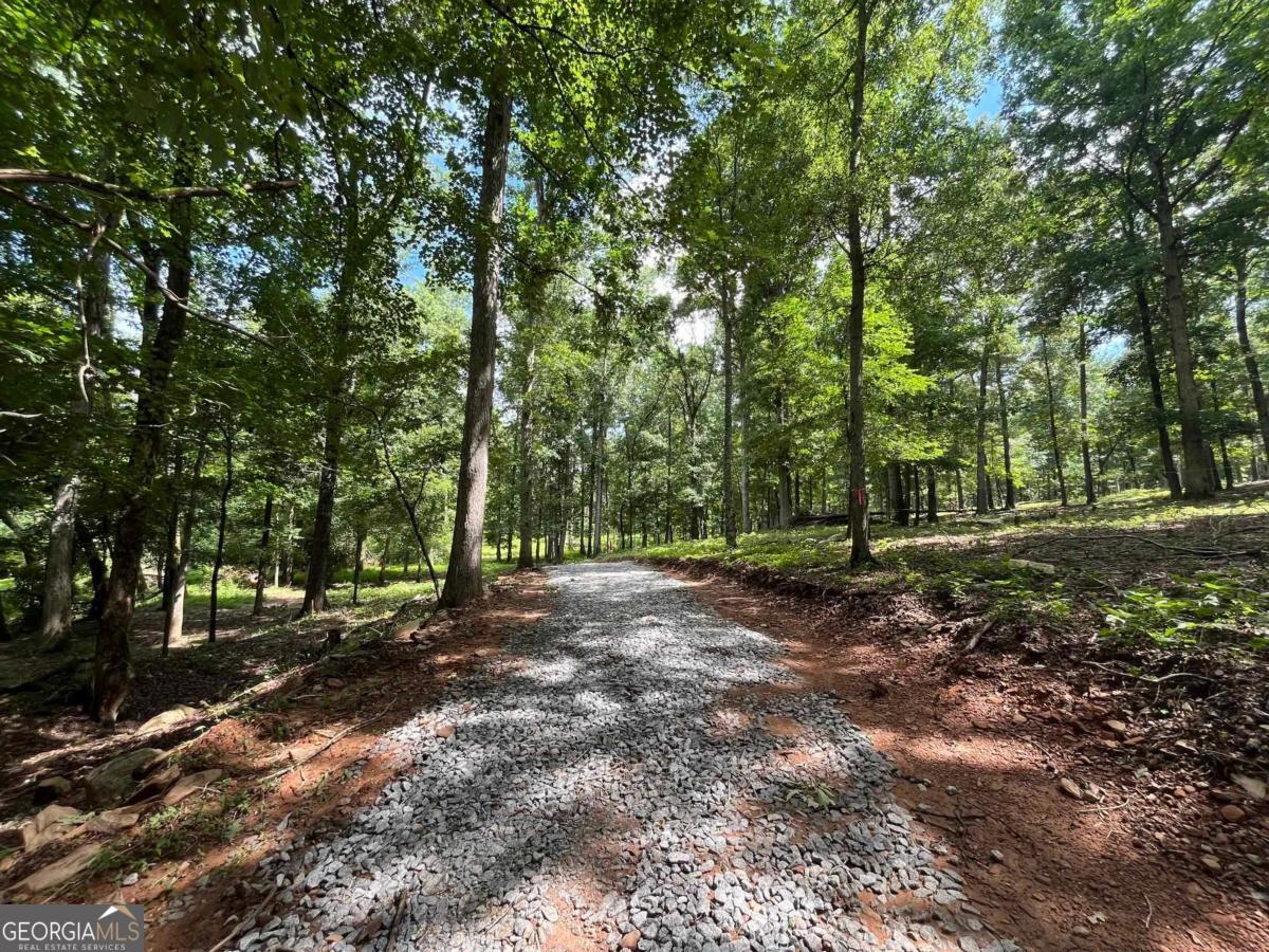 20 +/- AC Crooked Creek Road