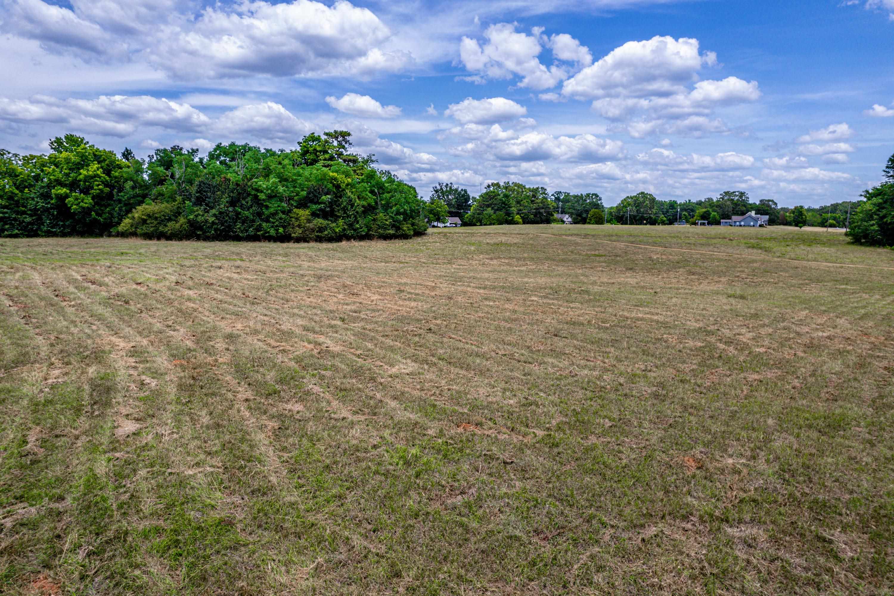 13.45 +/- Acres GREENSBORO ROAD