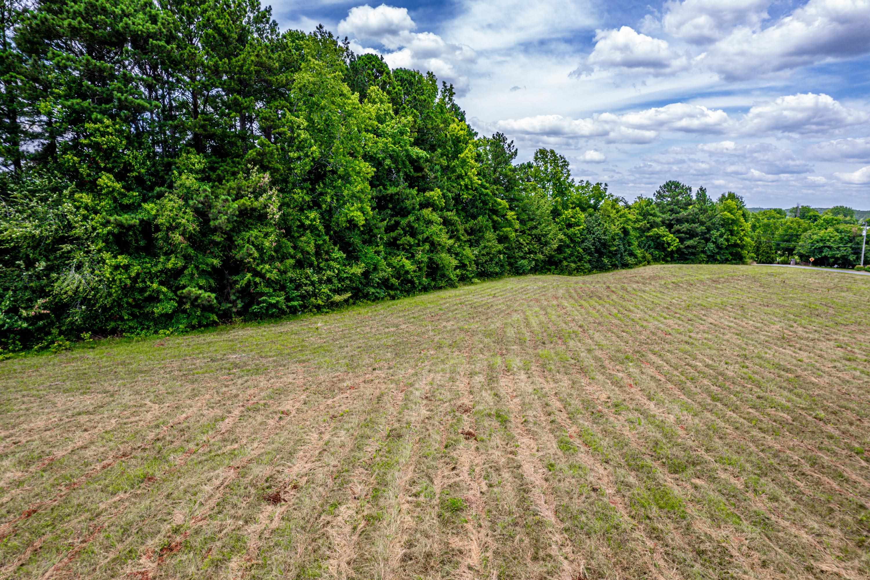 13.45 +/- Acres GREENSBORO ROAD