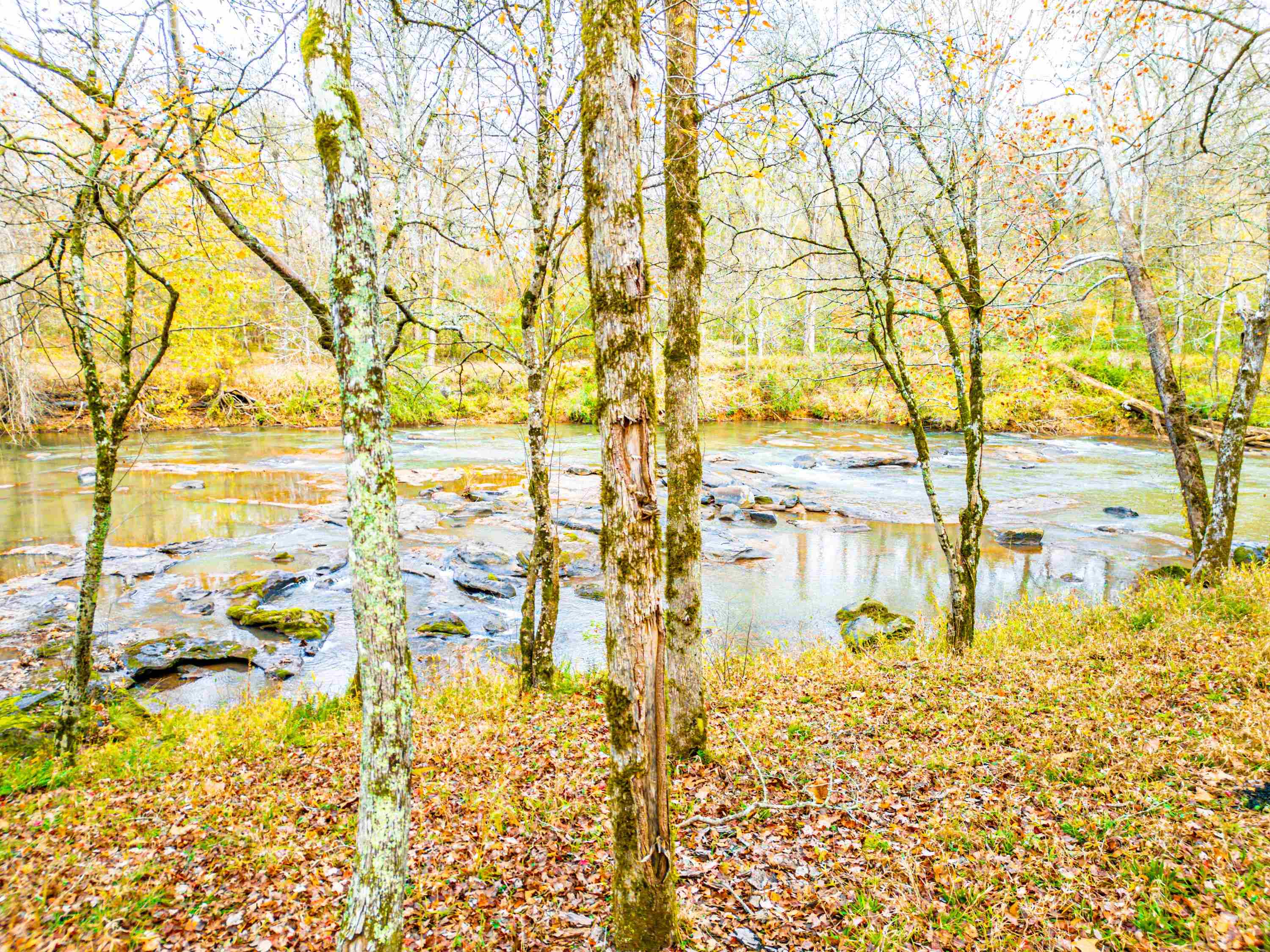 6.04 ac LINCHBURG ROAD