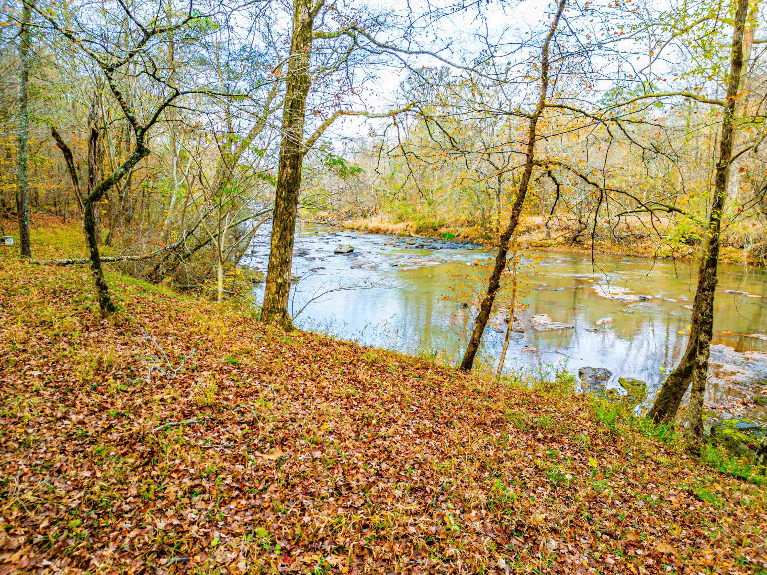 6.04 ac LINCHBURG ROAD