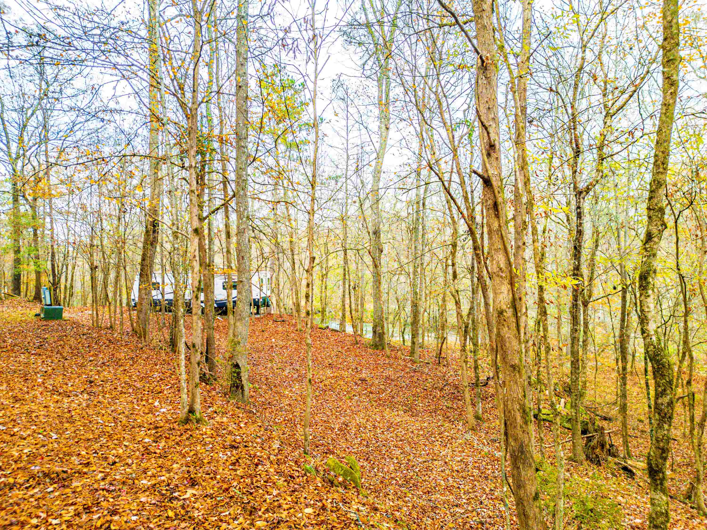 6.04 ac LINCHBURG ROAD