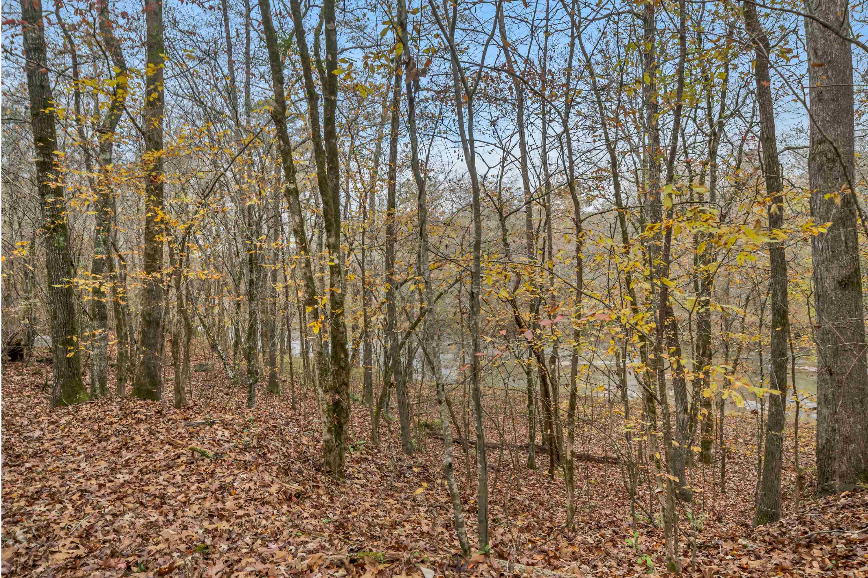 6.04 ac LINCHBURG ROAD