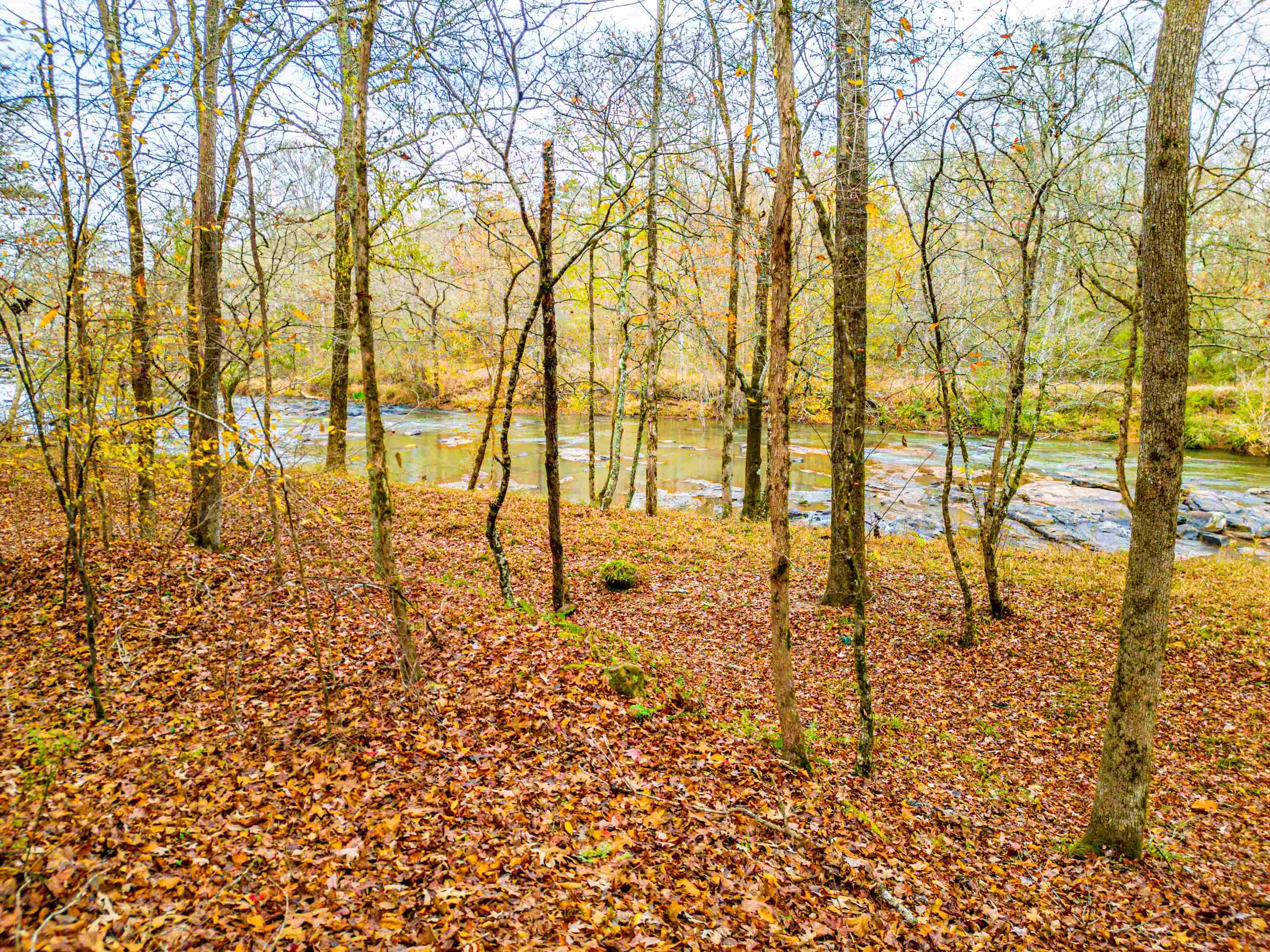 6.04 ac LINCHBURG ROAD