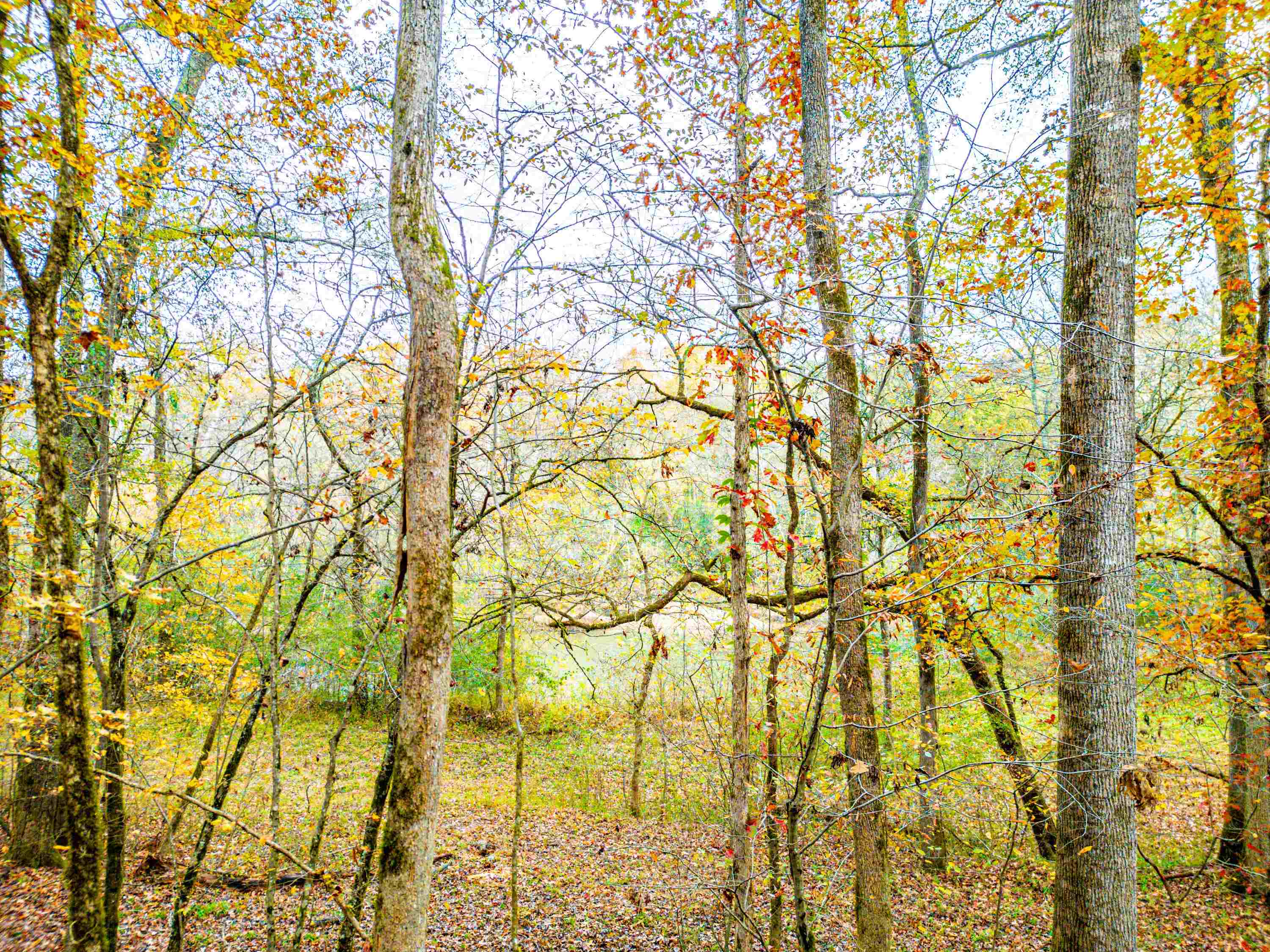 6.04 ac LINCHBURG ROAD