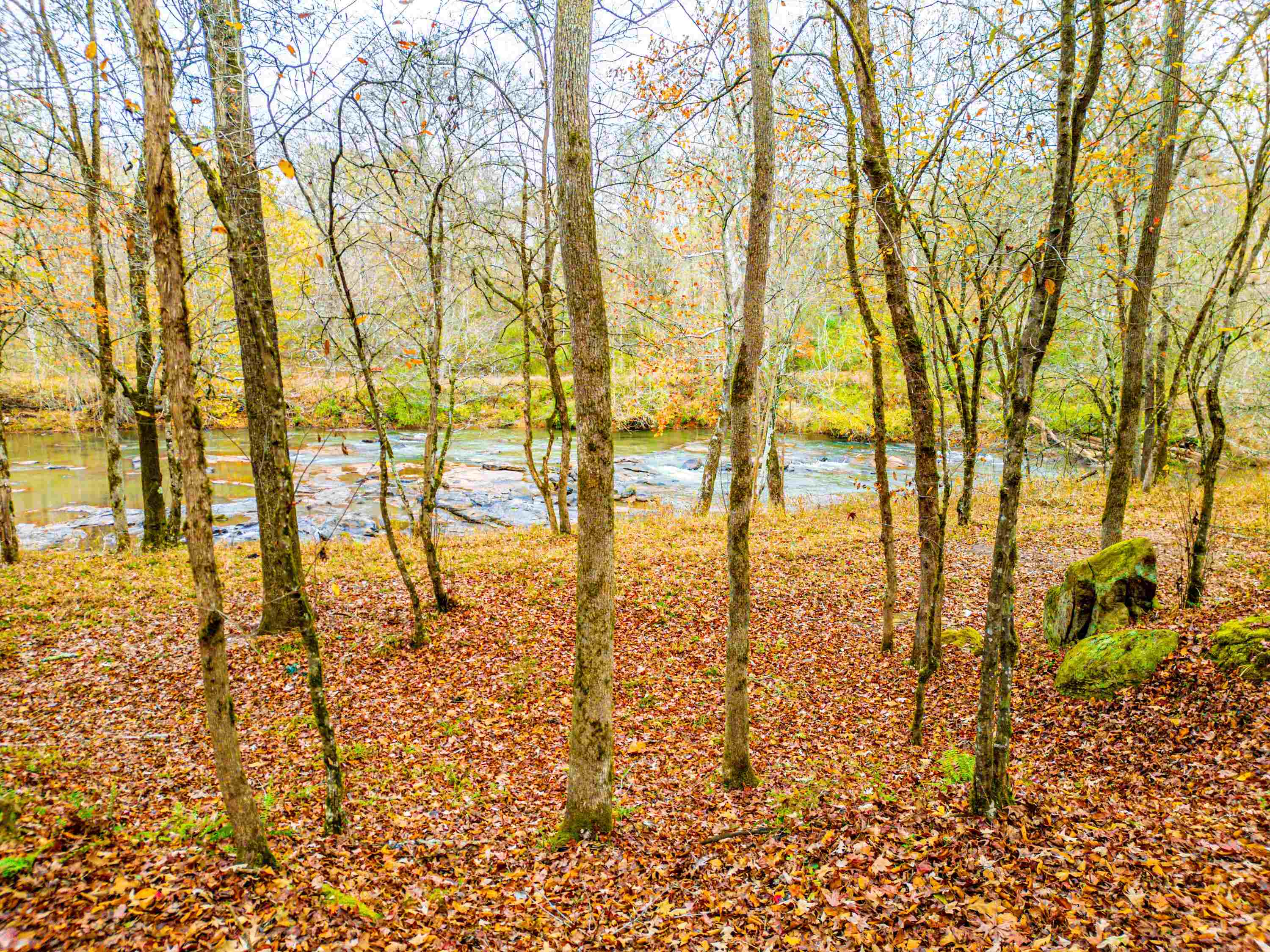 6.04 ac LINCHBURG ROAD