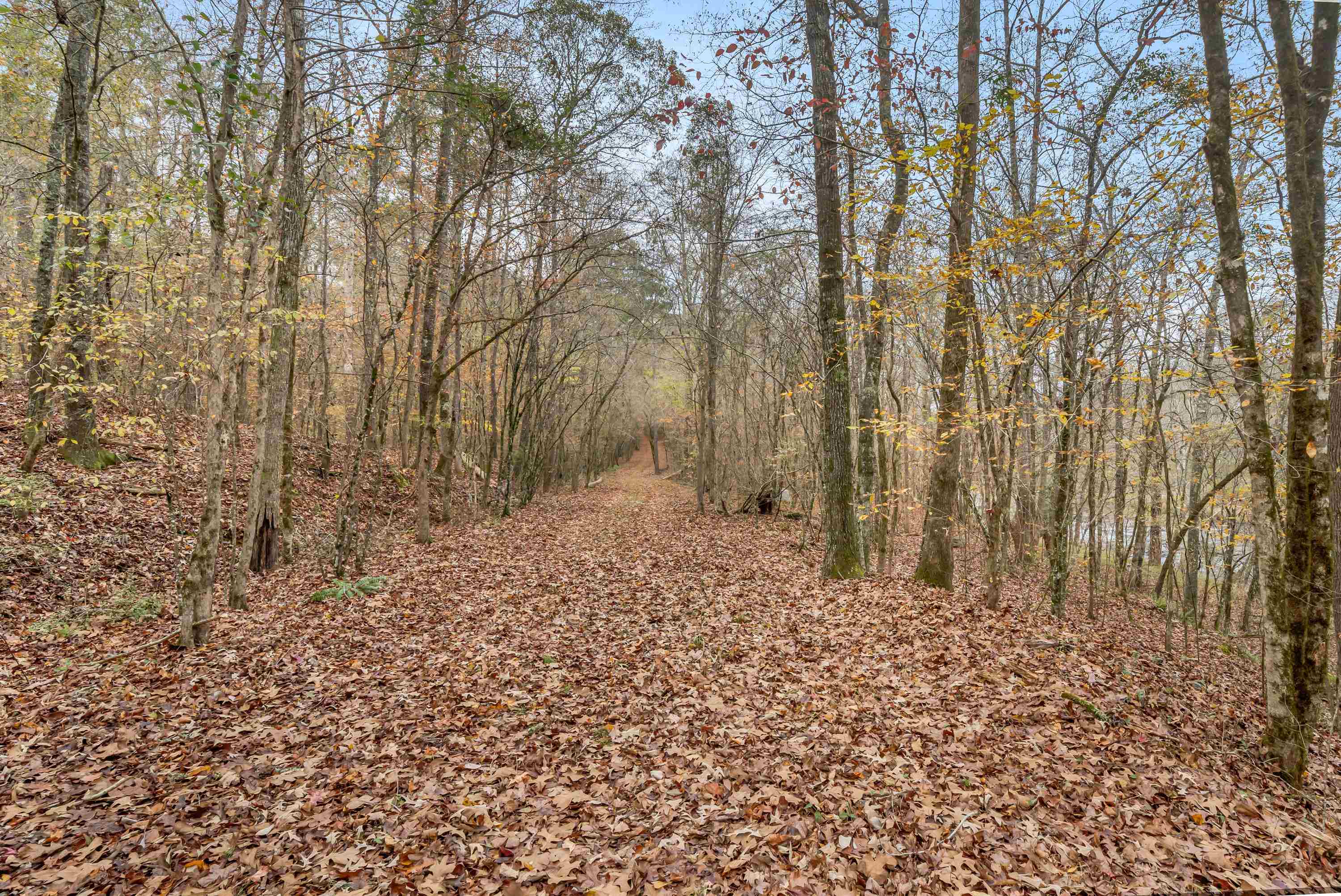 6.04 ac LINCHBURG ROAD