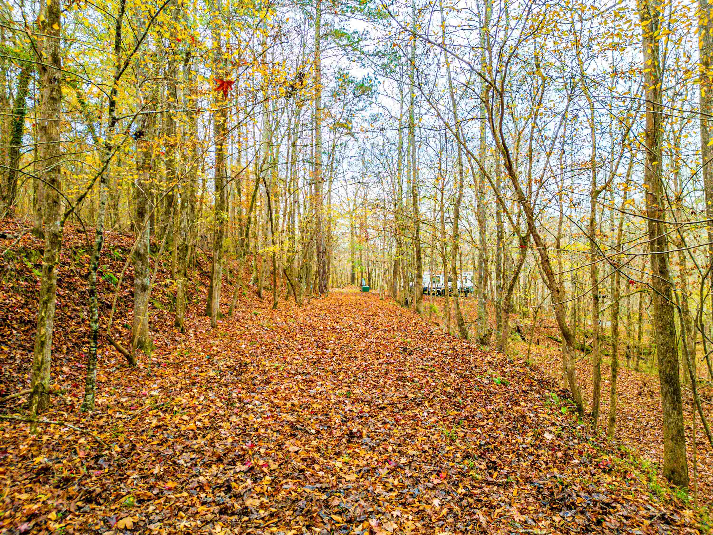 6.04 ac LINCHBURG ROAD