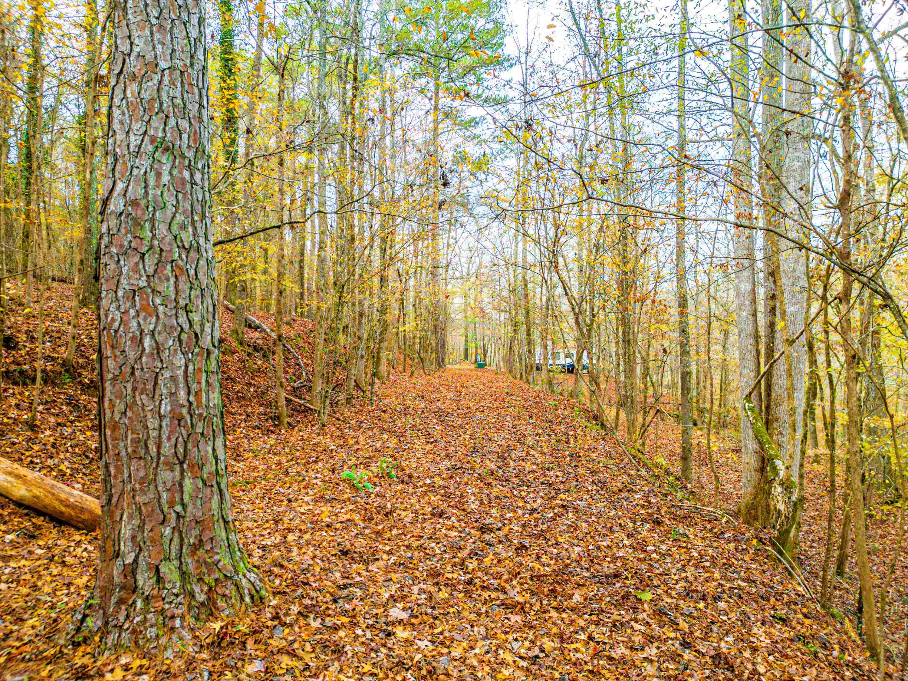 6.04 ac LINCHBURG ROAD