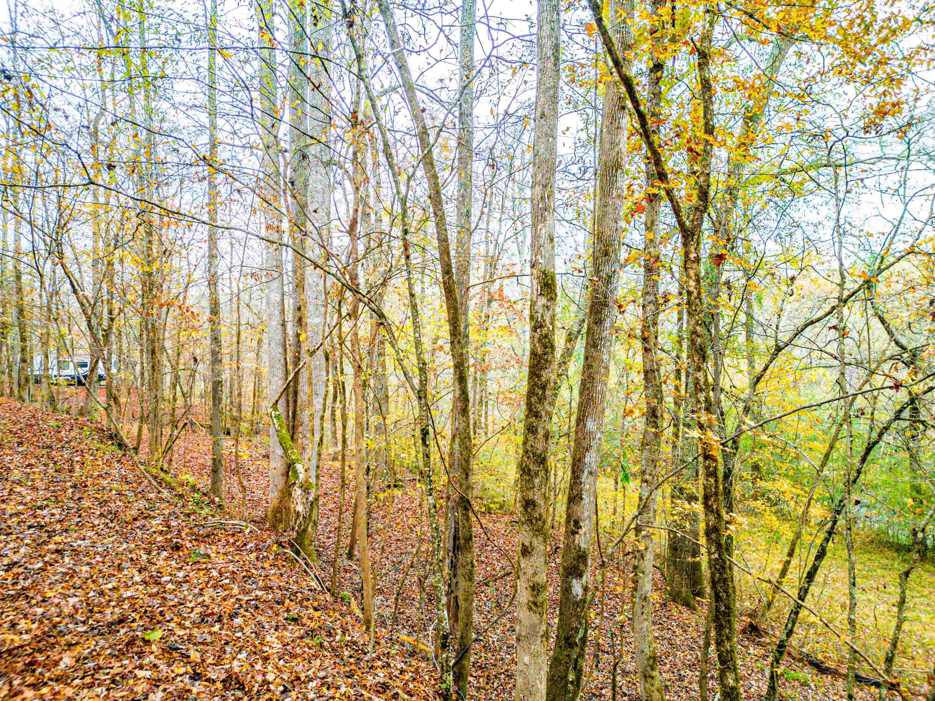 6.04 ac LINCHBURG ROAD