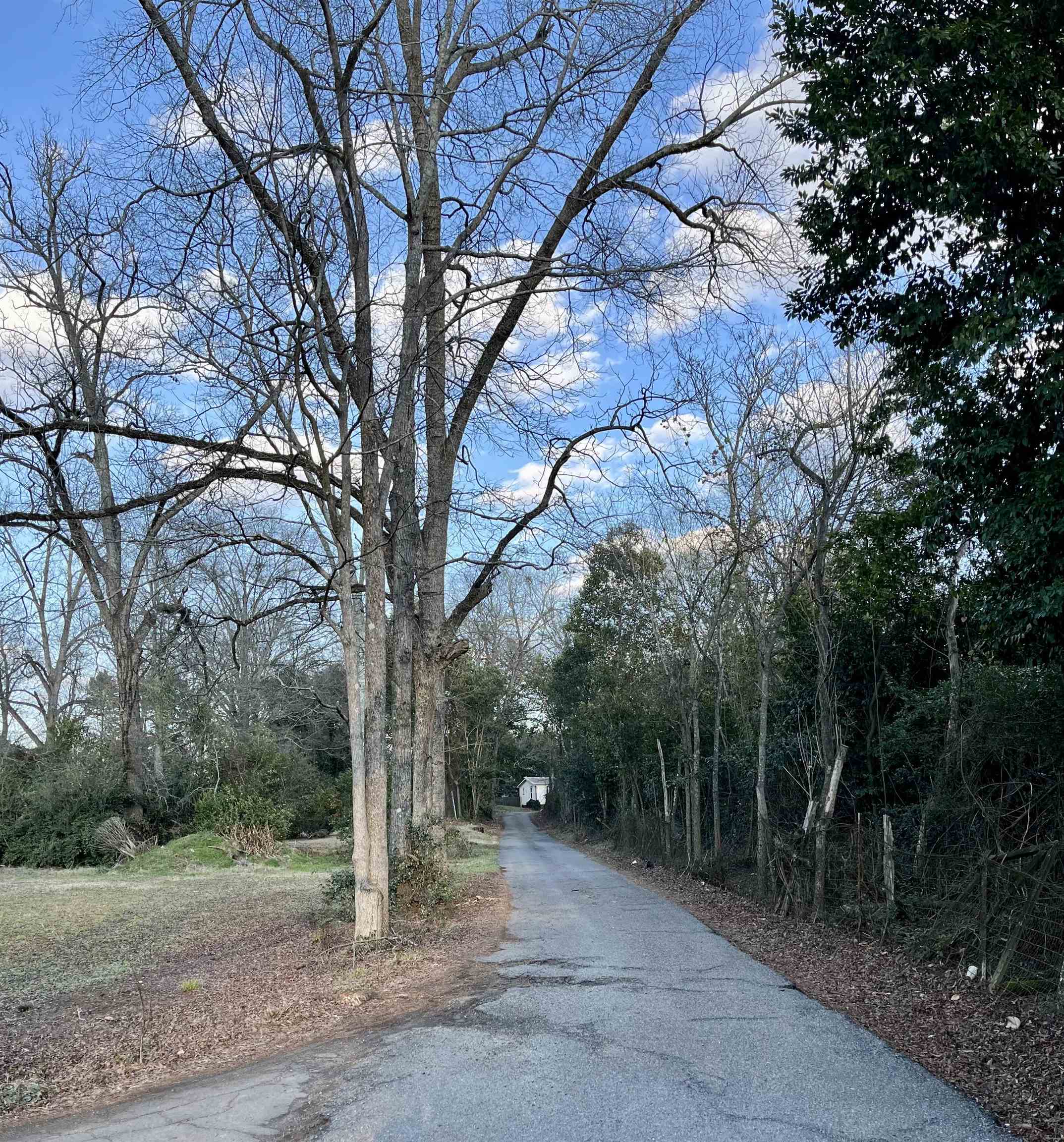 300 EAST MAGNOLIA STREET # 1