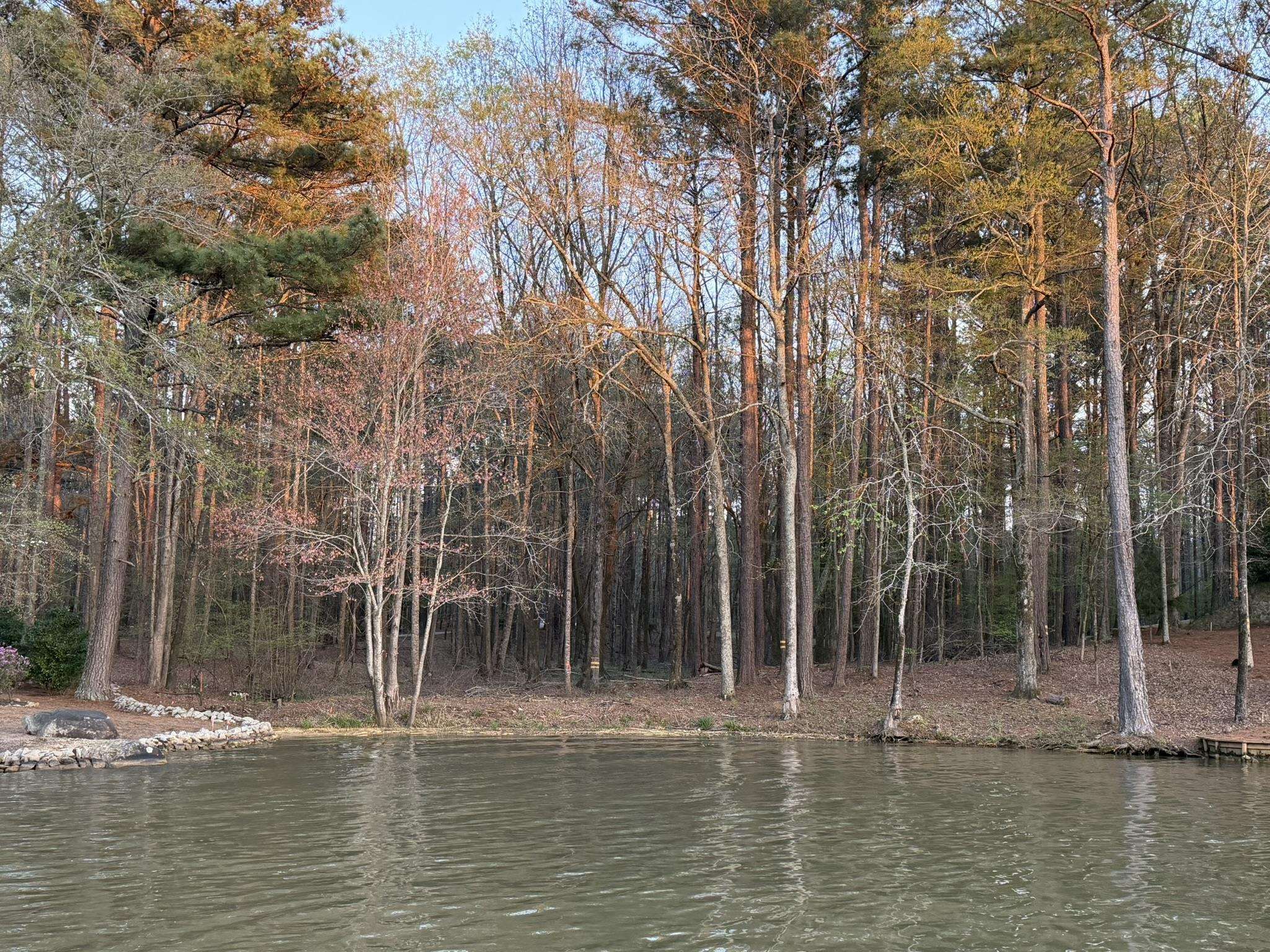 1290 TAL LEWIS ROAD # 5