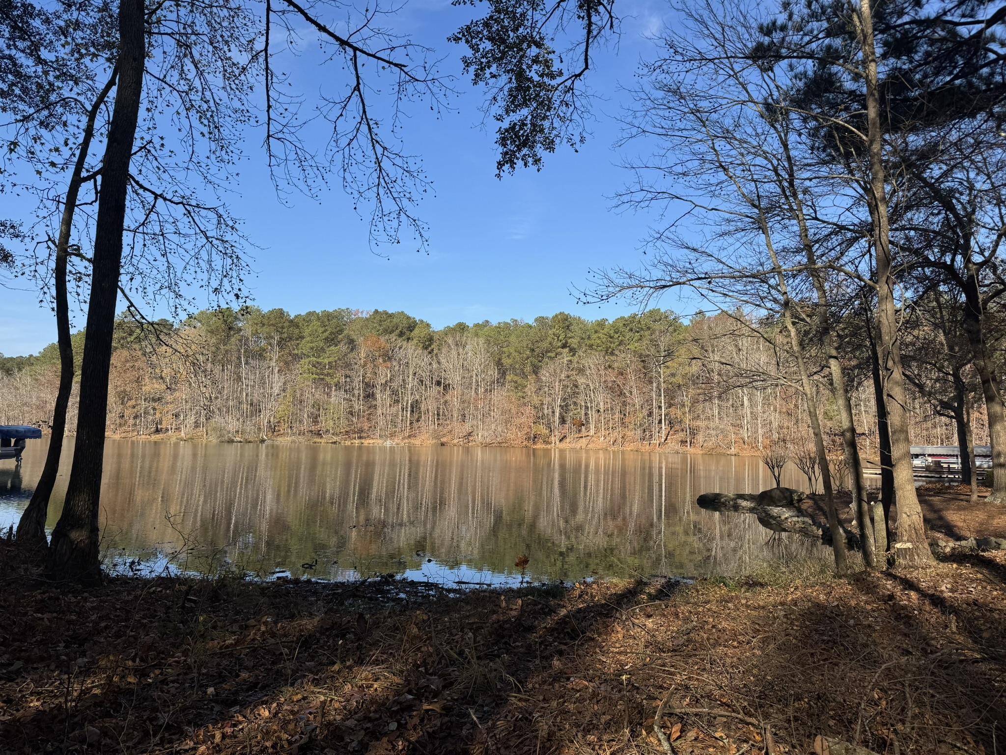 1290 TAL LEWIS ROAD # 5