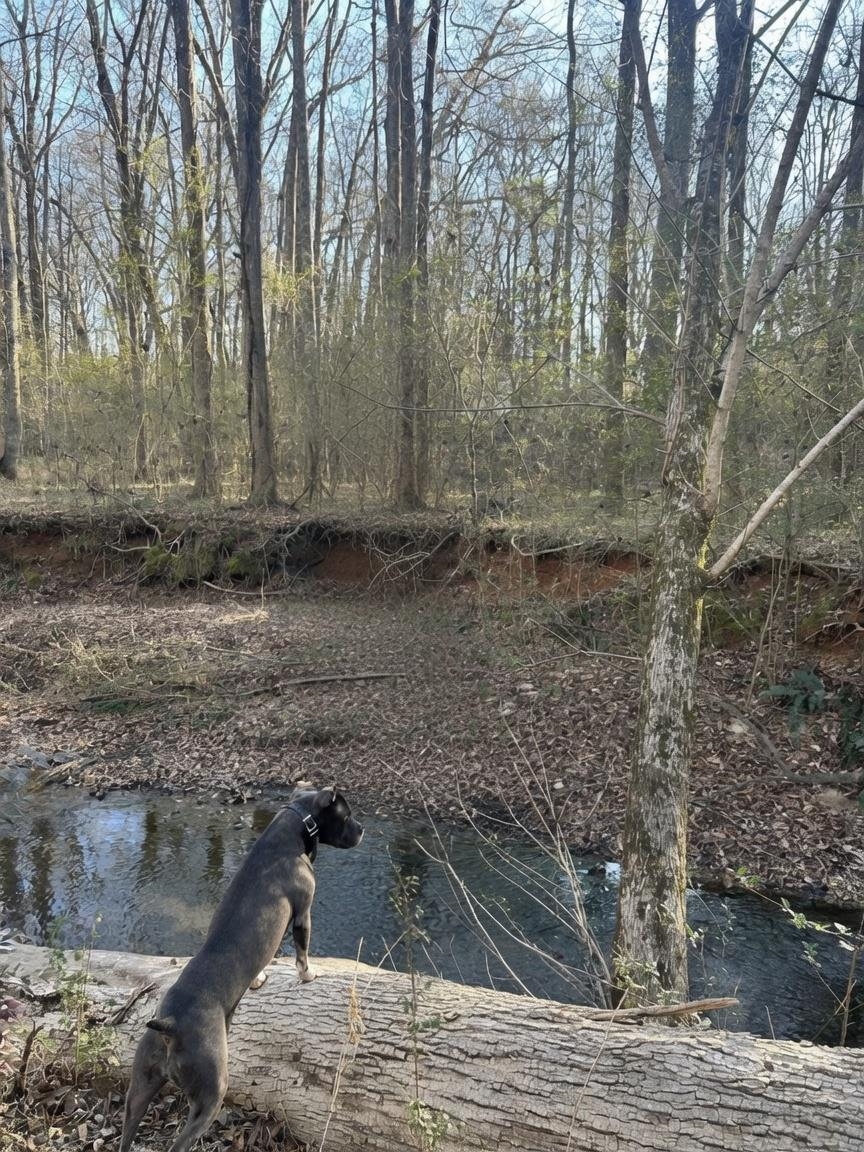 20 +/- ac CROOKED CREEK ROAD # A