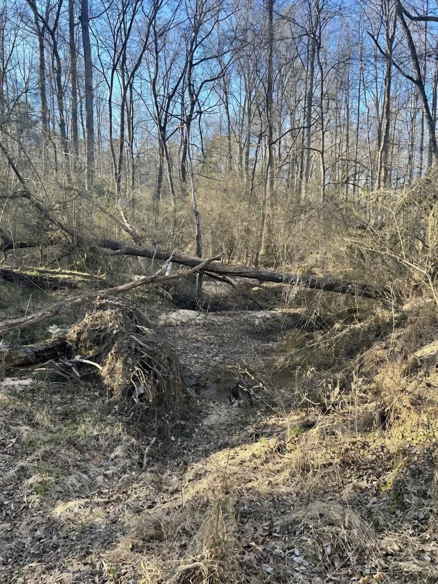 20 +/- ac CROOKED CREEK ROAD # A