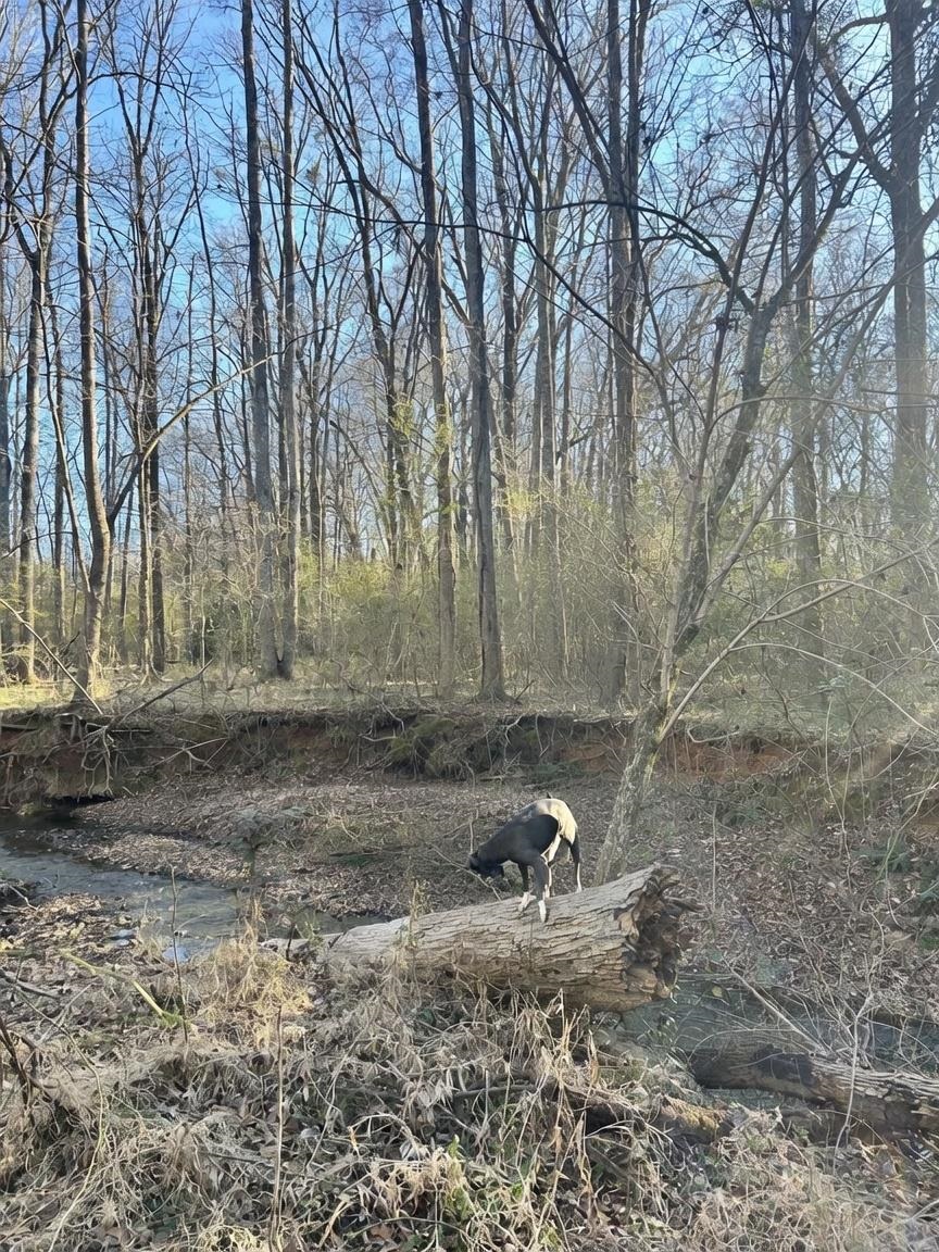 20 +/- ac CROOKED CREEK ROAD # A
