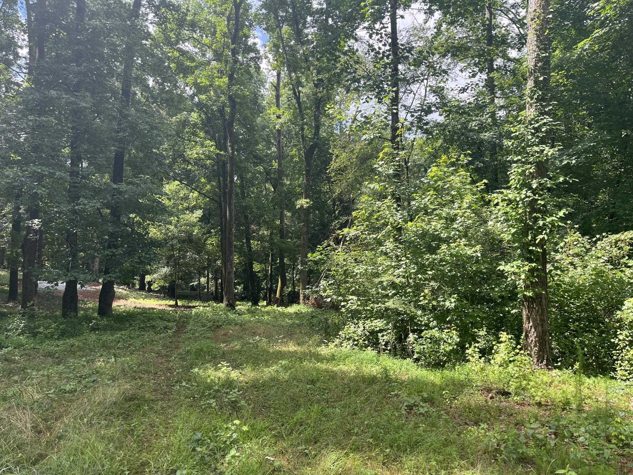 20 +/- ac CROOKED CREEK ROAD # A