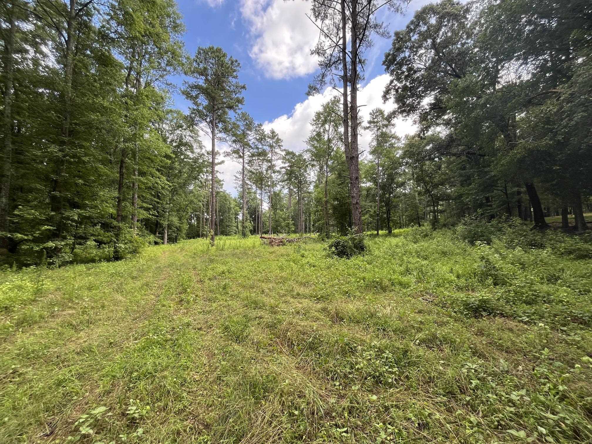 20 +/- ac CROOKED CREEK ROAD # A