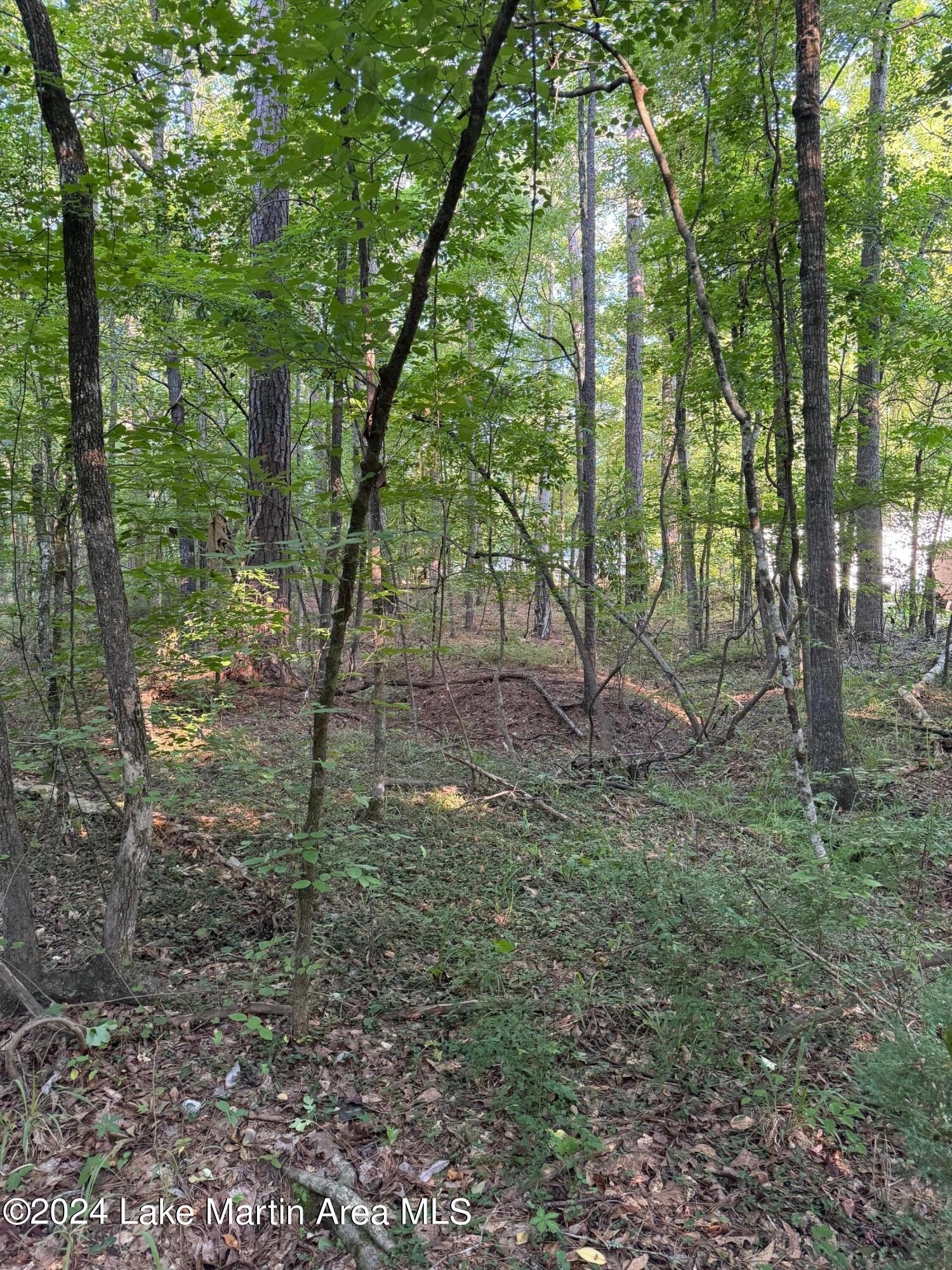 45 Lower Bottom Rd