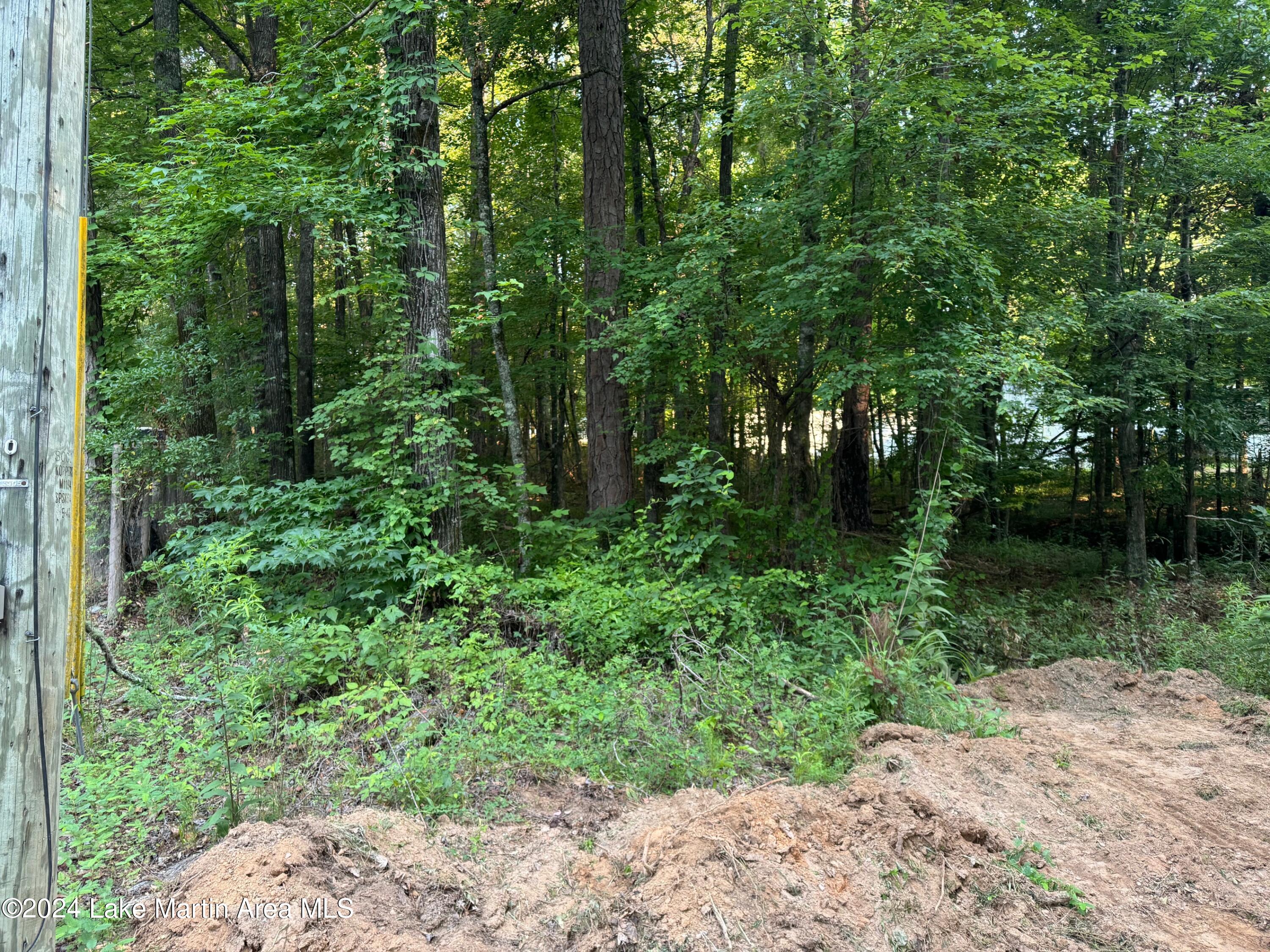 45 Lower Bottom Rd