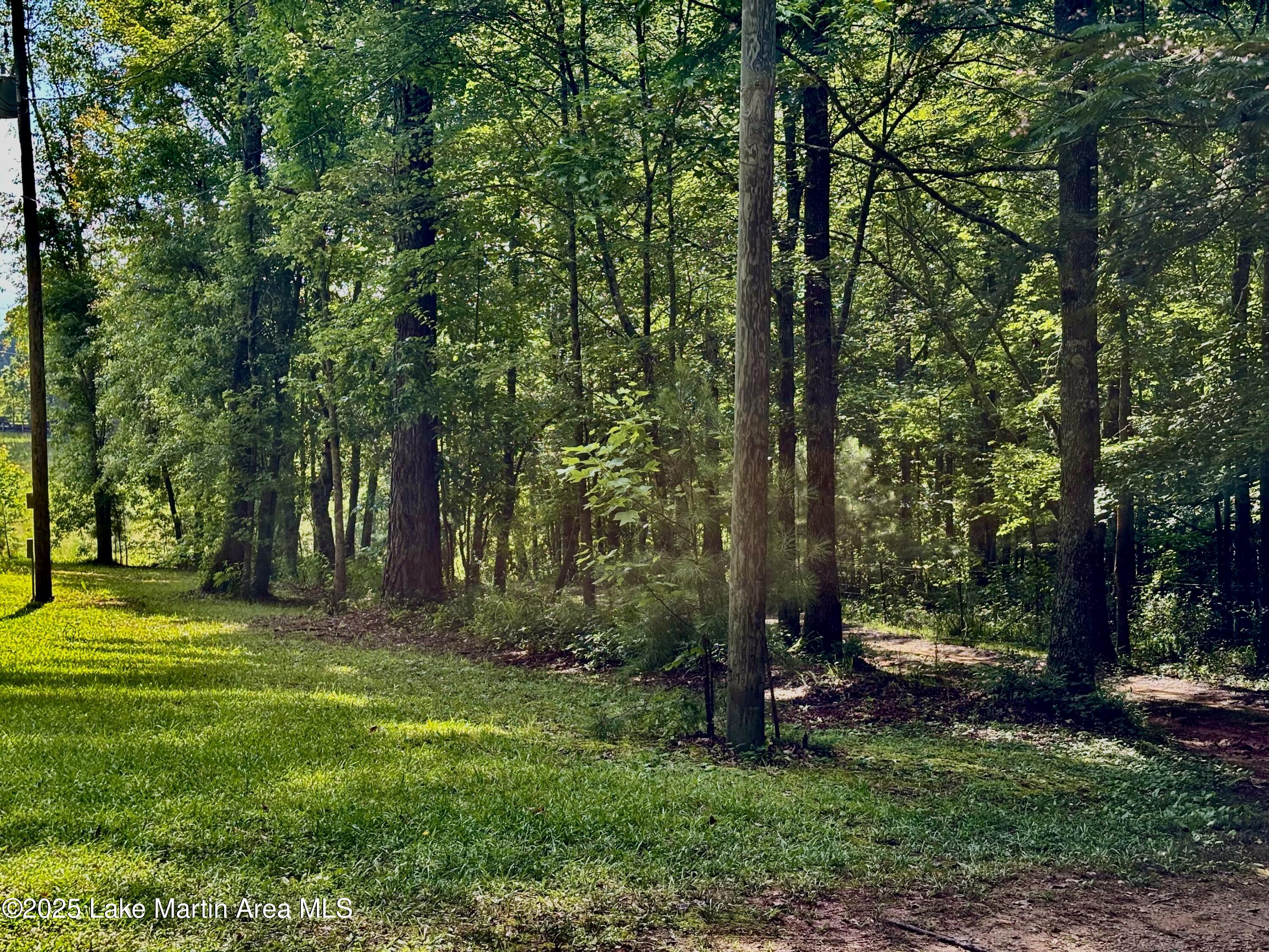 357 Walk About Ranch Rd