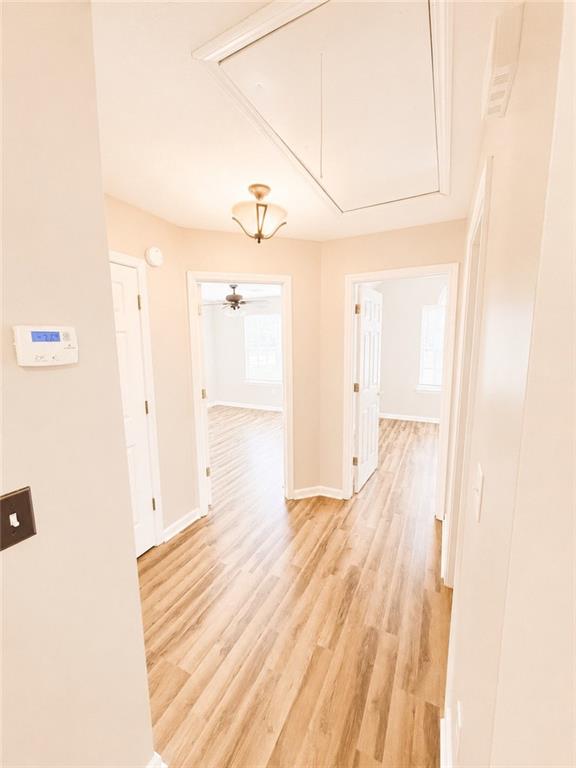 514 Shaggy Hickory Trail